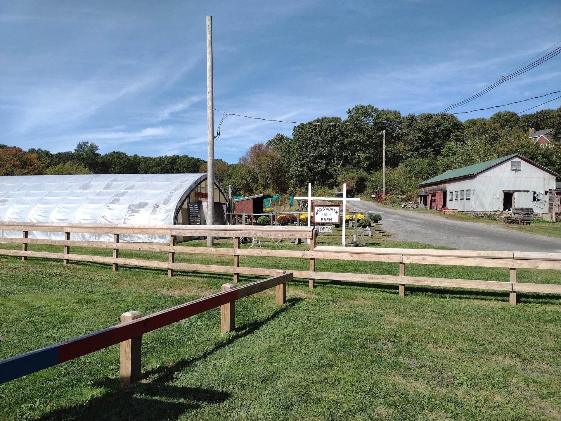 Sunny view of a large greenhouse and wooden fence.