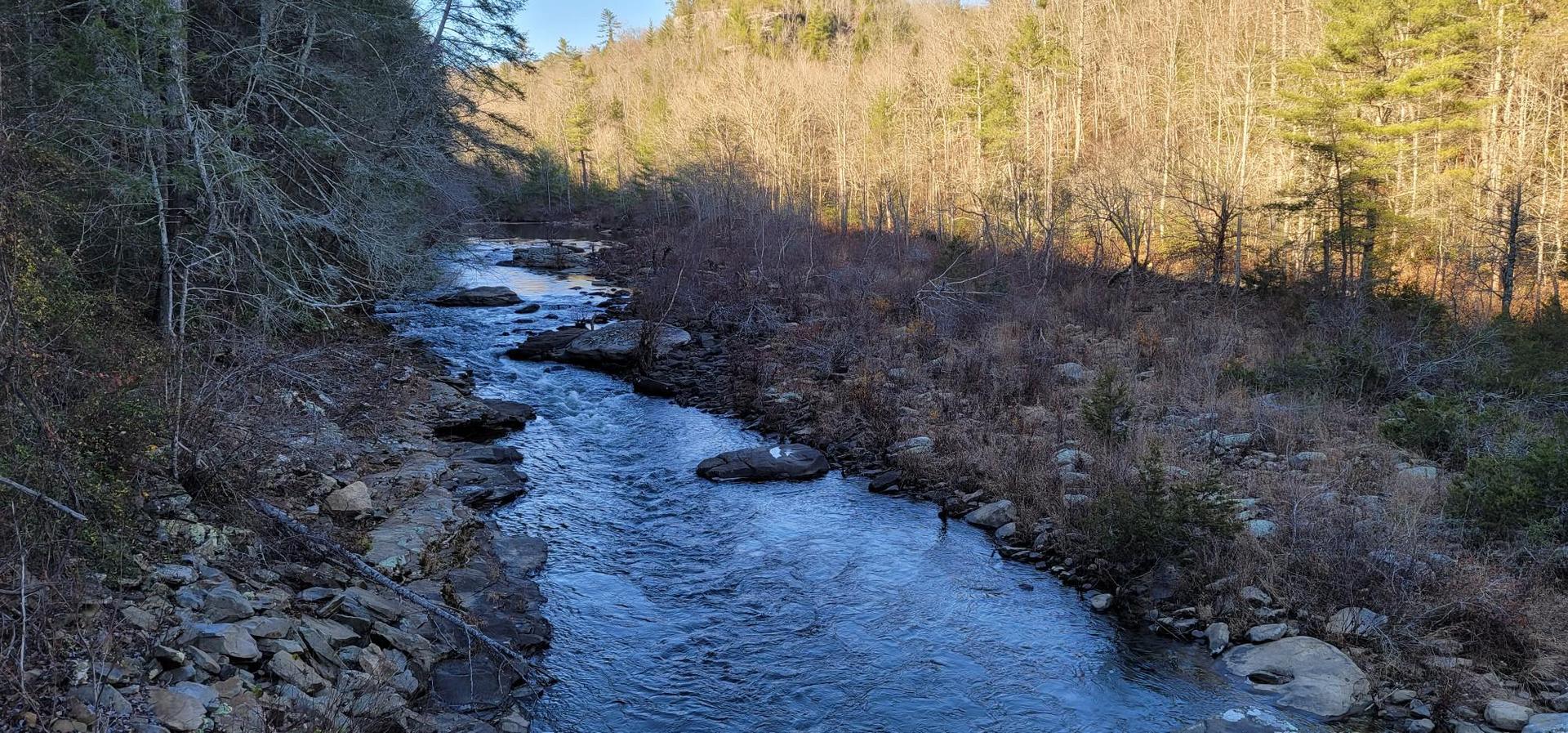 A winding river flows through a sunlit valley with bare trees.