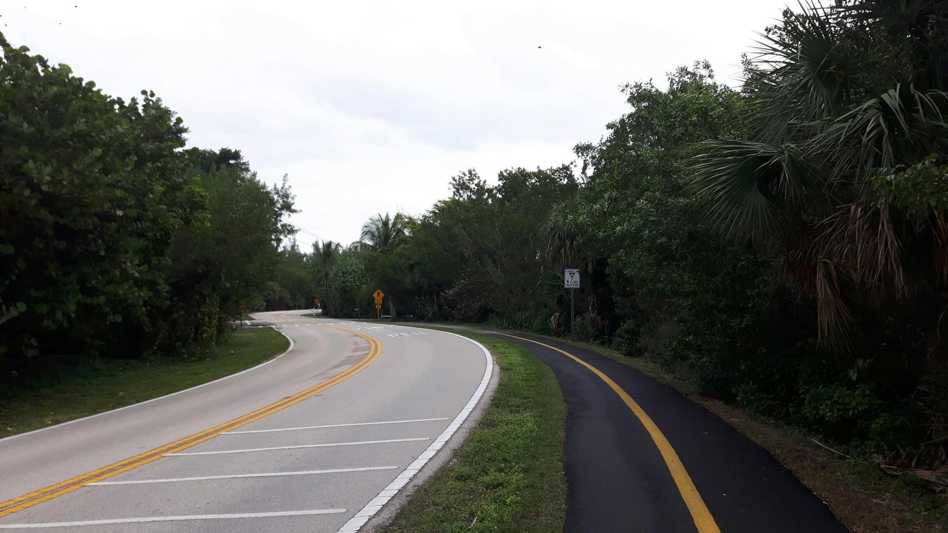 Curved road and separate paved path through dense green trees.