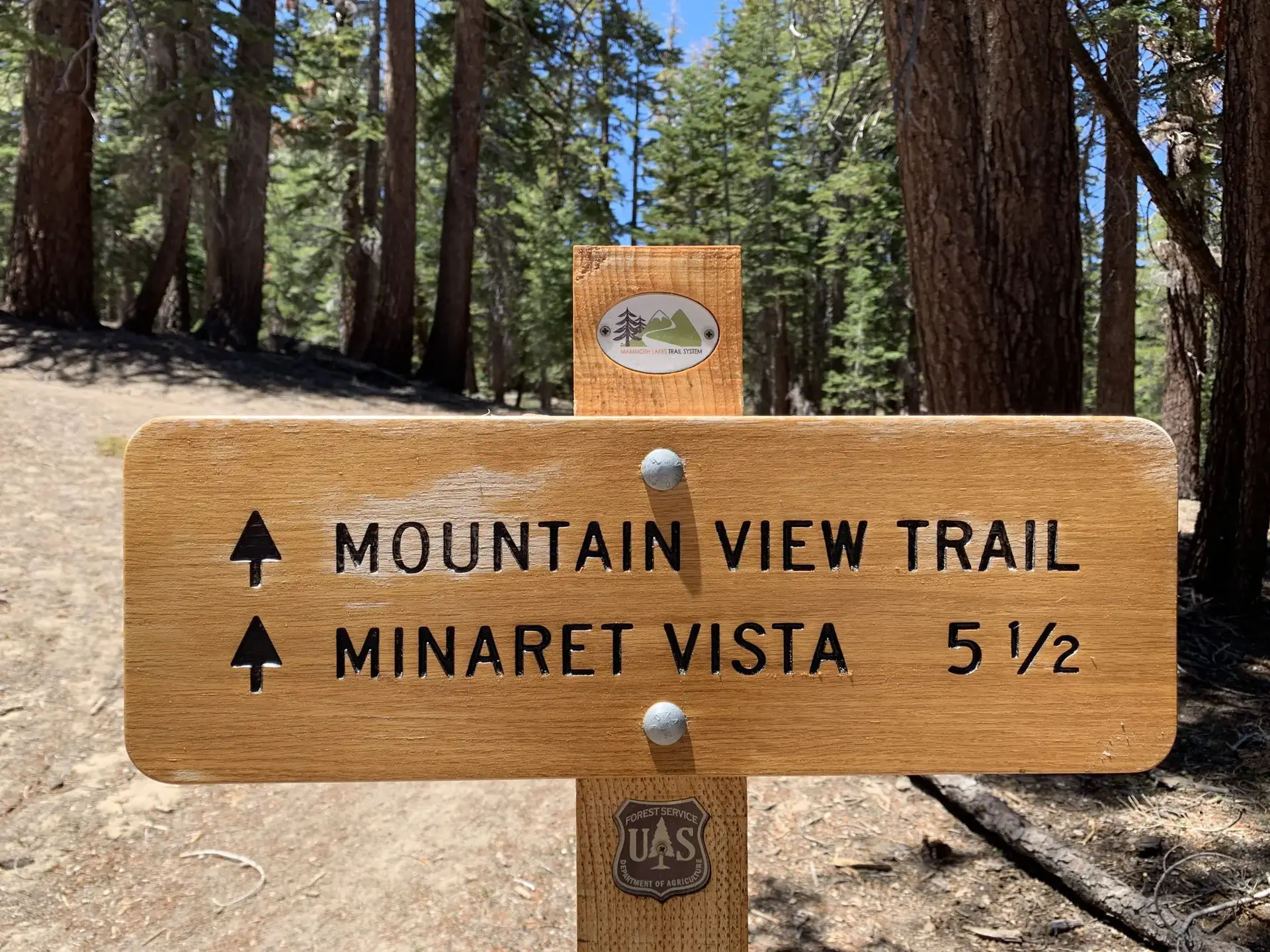 Wooden trail sign in a sunny forest, pointing to a mountain view trail.