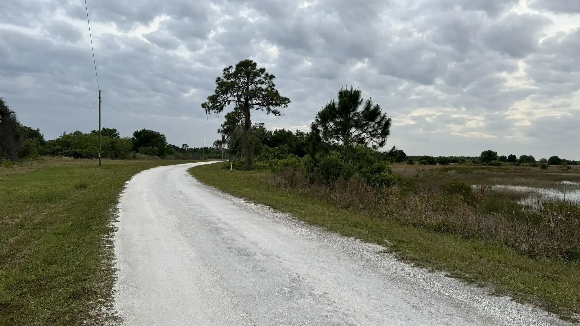A winding dirt road through a grassy field under an overcast sky.
