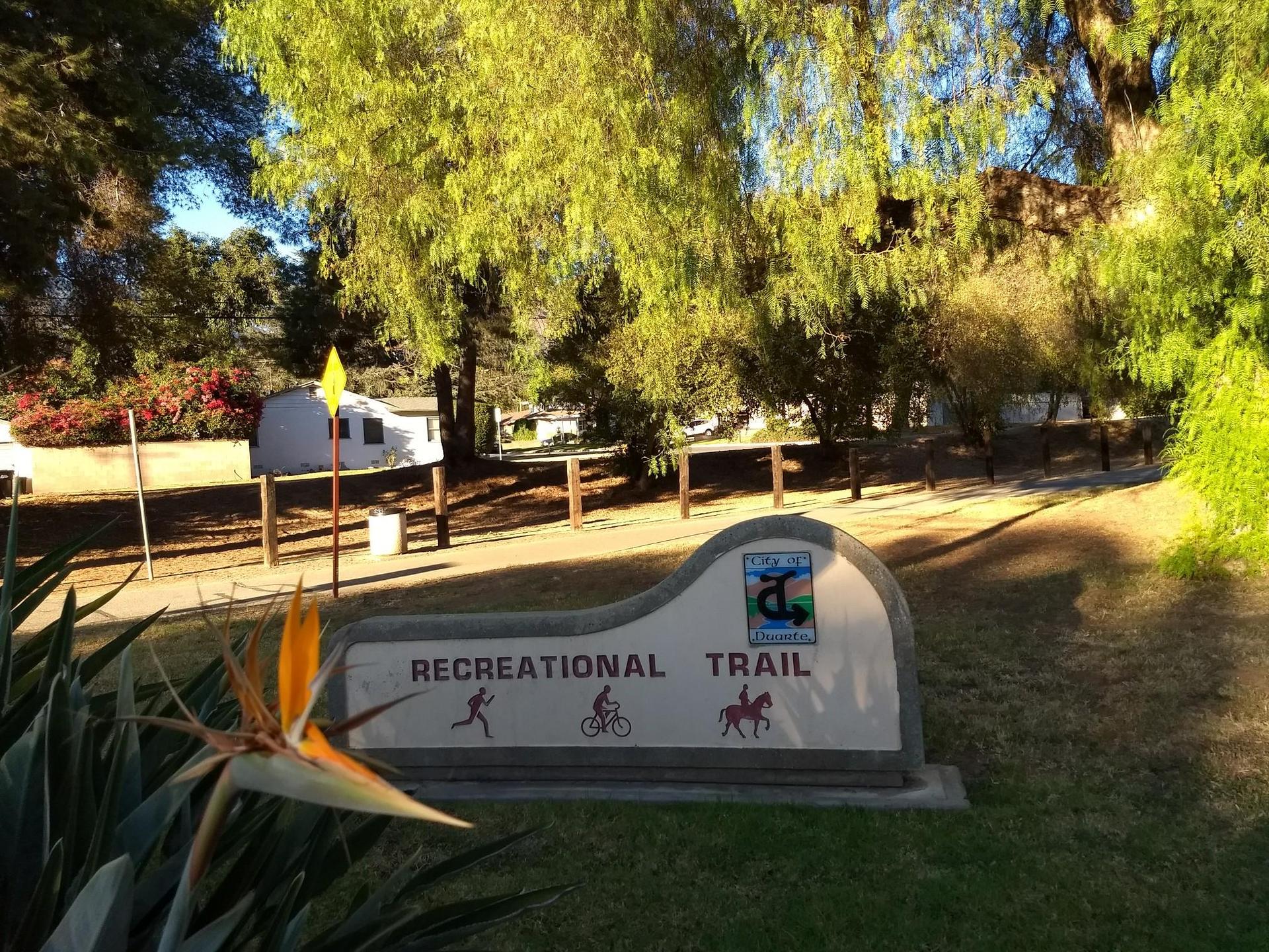 Recreational trail sign with a Bird of Paradise flower, bright sunlight, green trees.