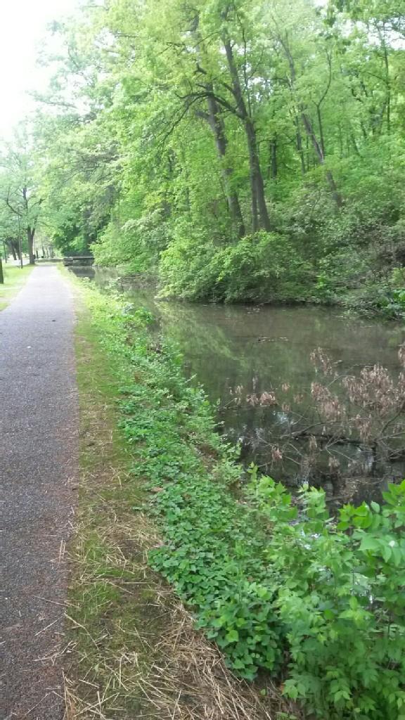 Paved path alongside a narrow, tree-lined canal on an overcast day.