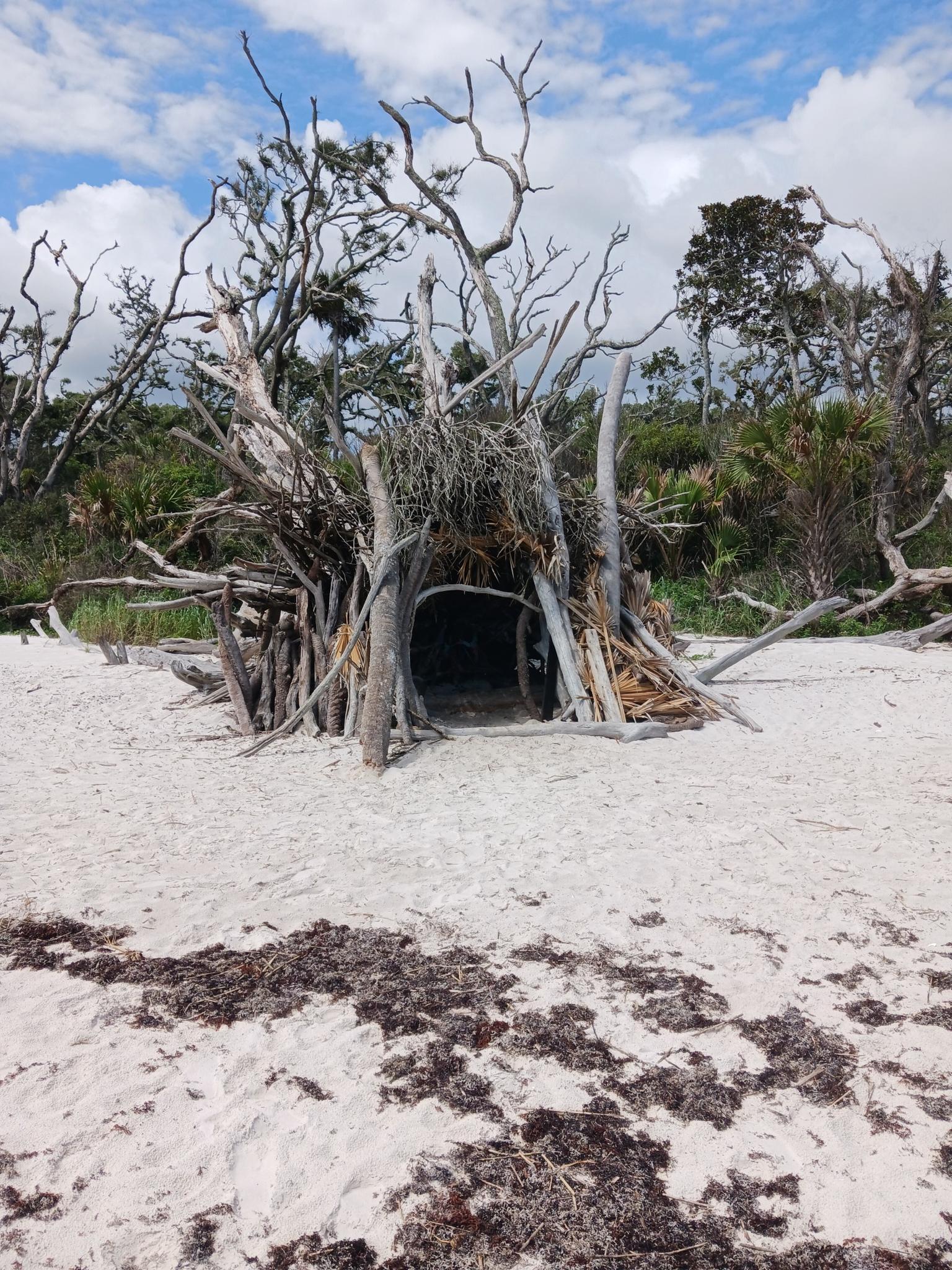 A unique hut constructed from driftwood on a sunny sandy beach.