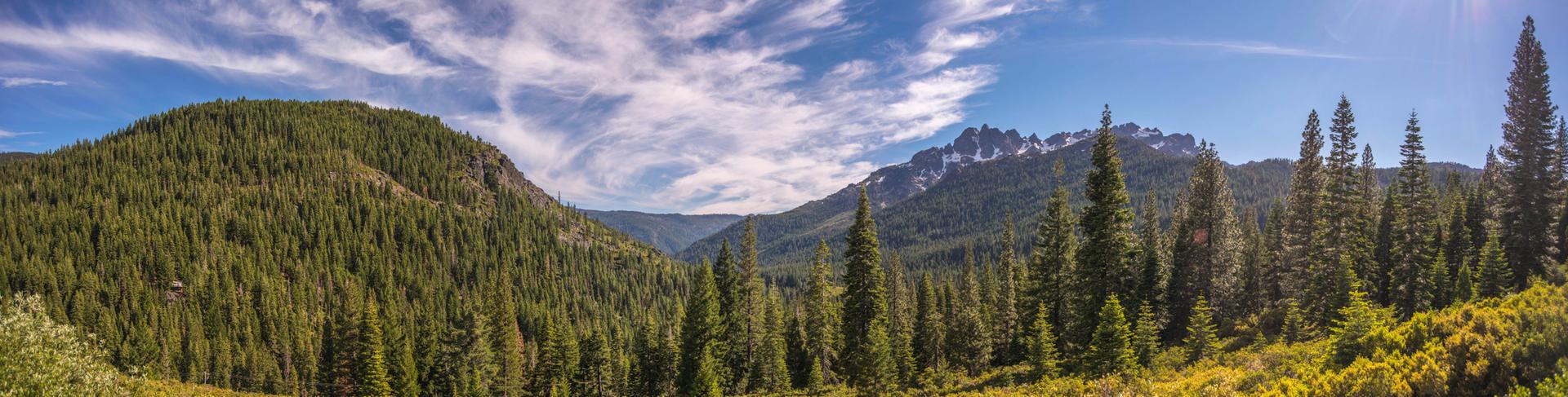 Panoramic view of forested mountains under a partly cloudy blue sky.