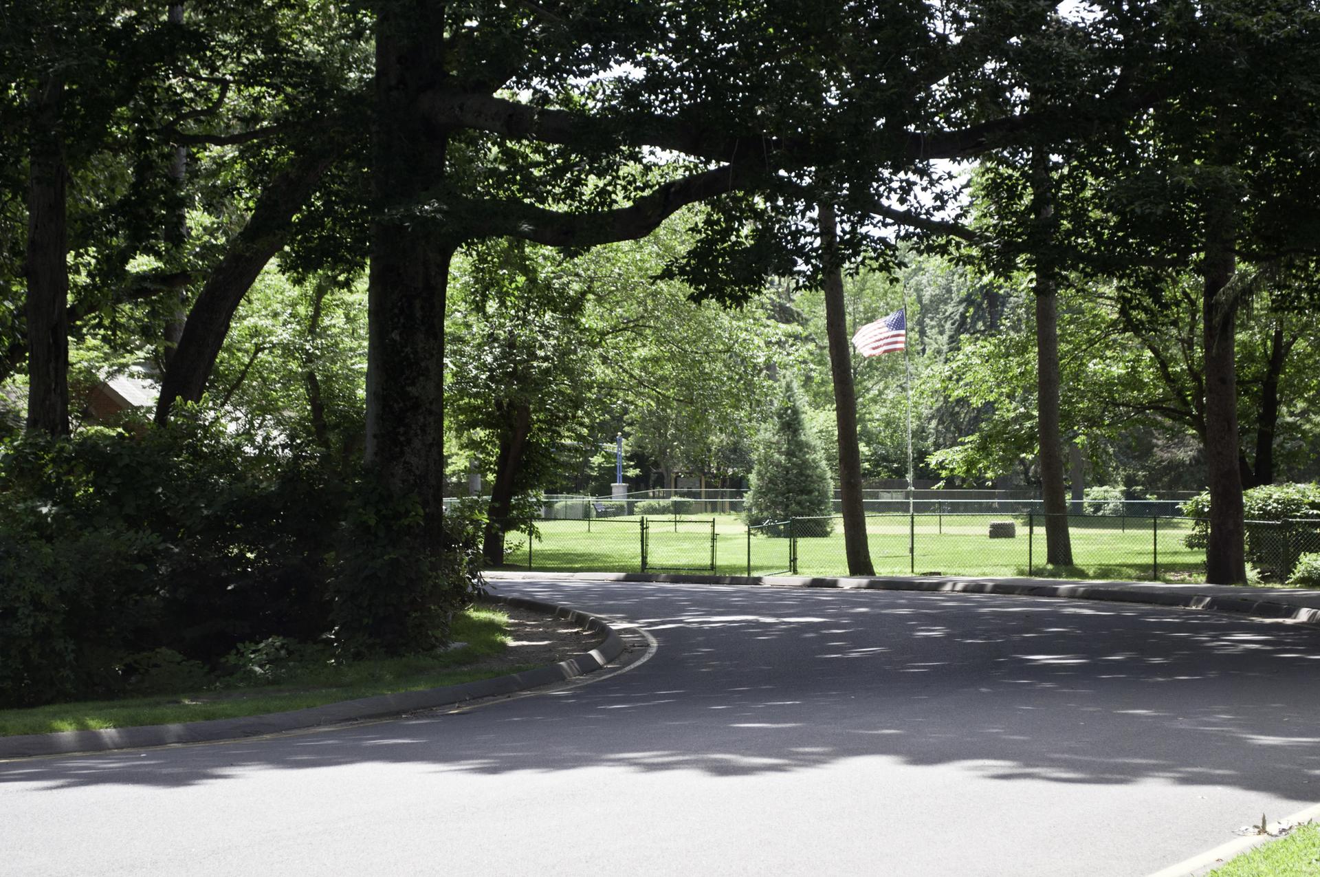 Paved road curves towards a sunny green park with trees and a flag.