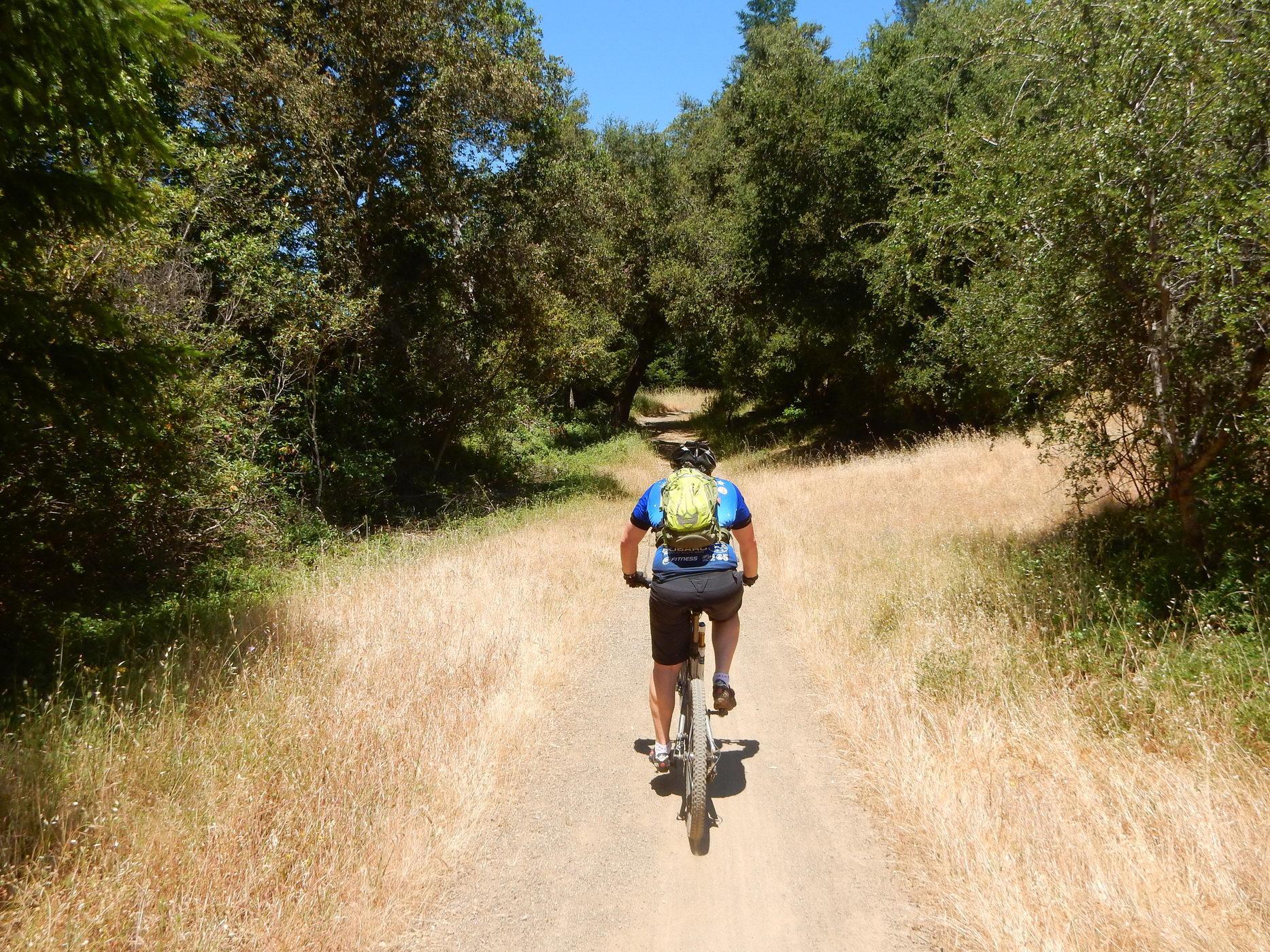 A person cycles on a sun-dappled dirt path through a green forest.