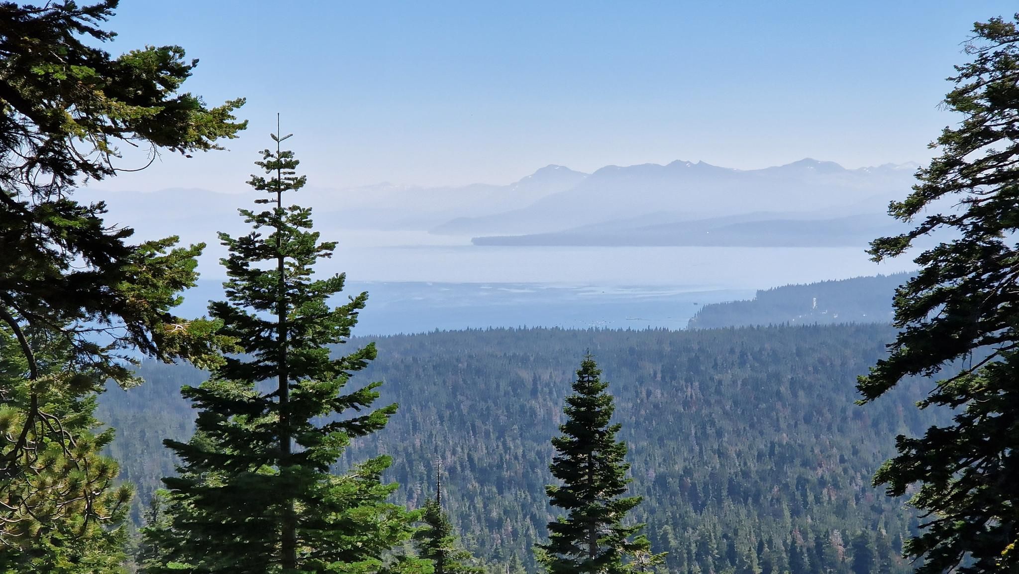 Panoramic view of a large lake and hazy mountains through pine trees. - Tahoe Rim Trail via Whoop-dee-doo loop