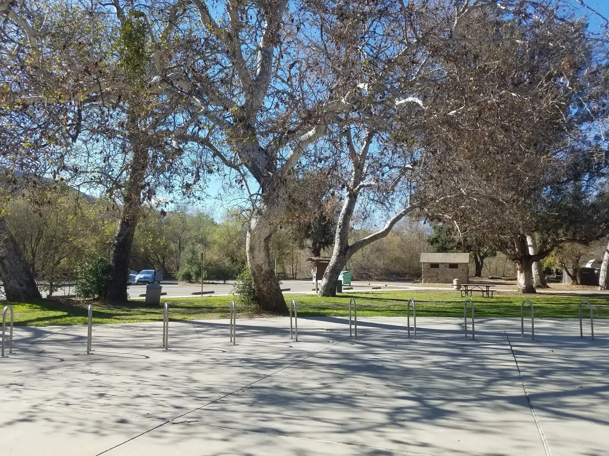 Park with large sycamore trees, bike racks, and a building on a sunny day.