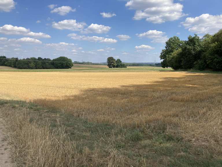 Erzweg Nord Wanderung Komoot