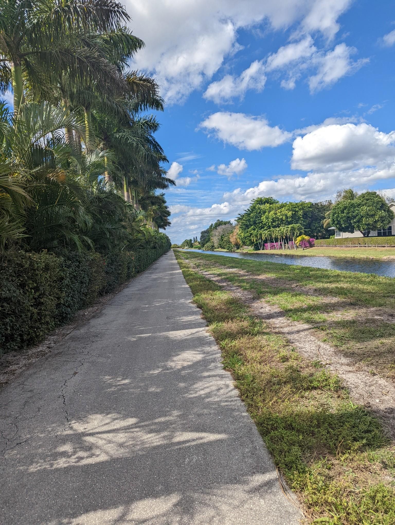 Sunny path alongside a canal, bordered by palm trees and green grass. - Roadbike loop from Wellington