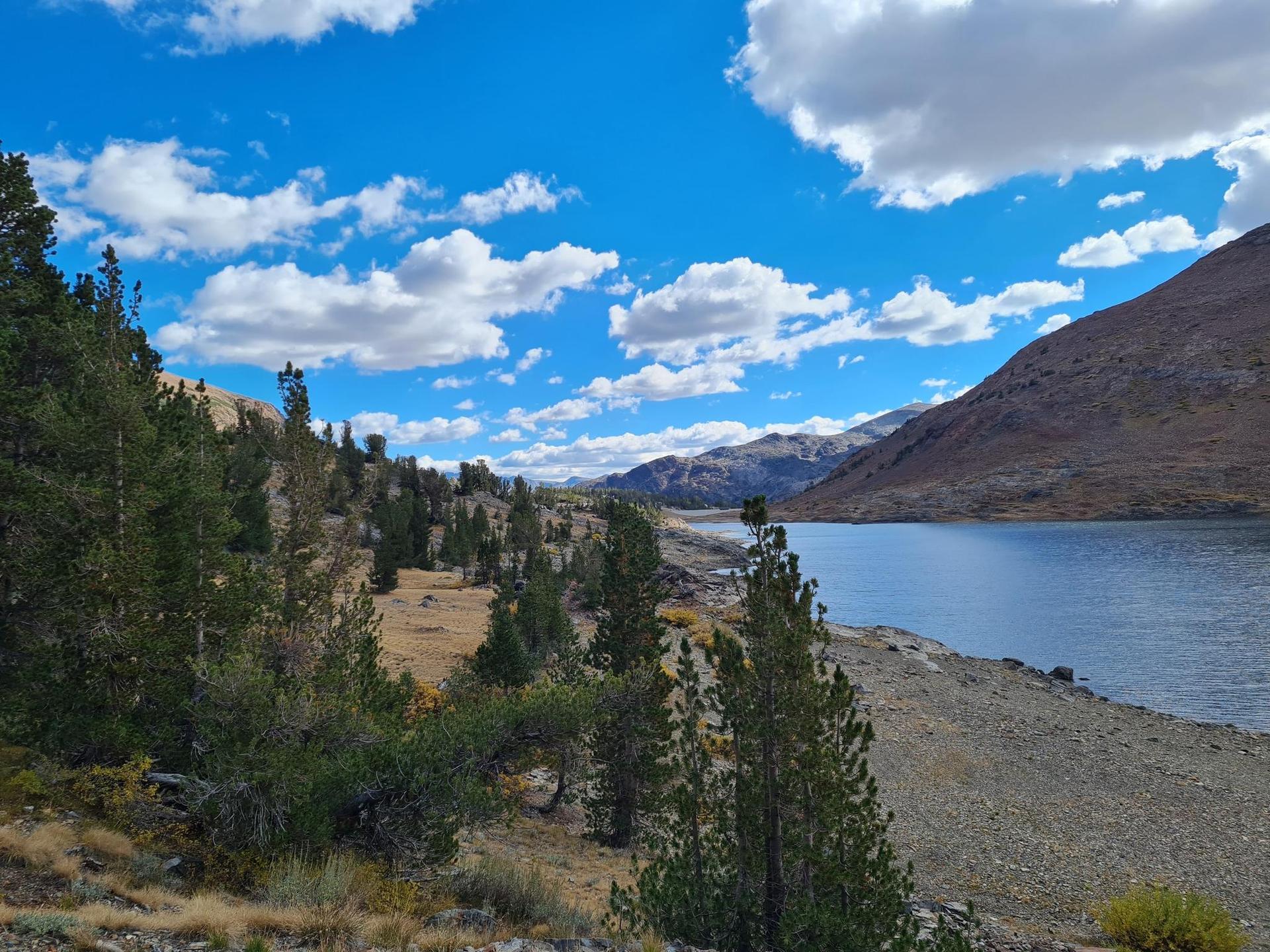 Expansive mountain lake with pine trees and rocky shore under a cloudy blue sky.