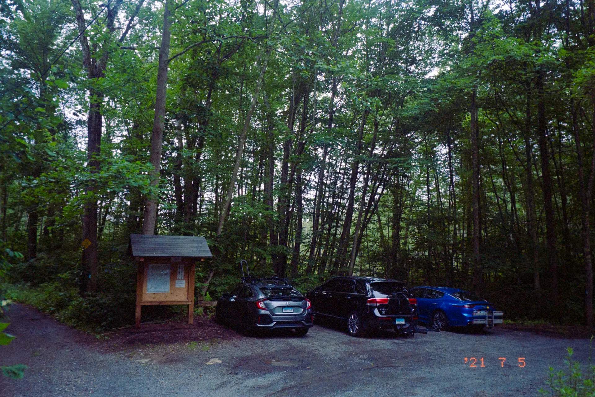 Three cars parked by an information board in a dense, green forest under soft light.