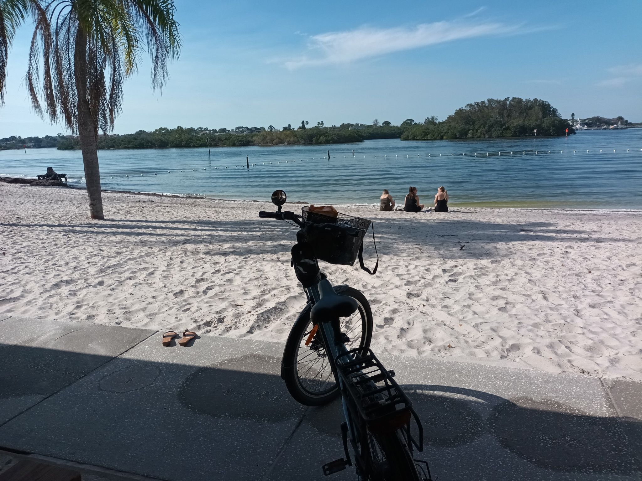 Bicycle on a sunny beach with people by calm water and palm trees. - Seven Springs loop