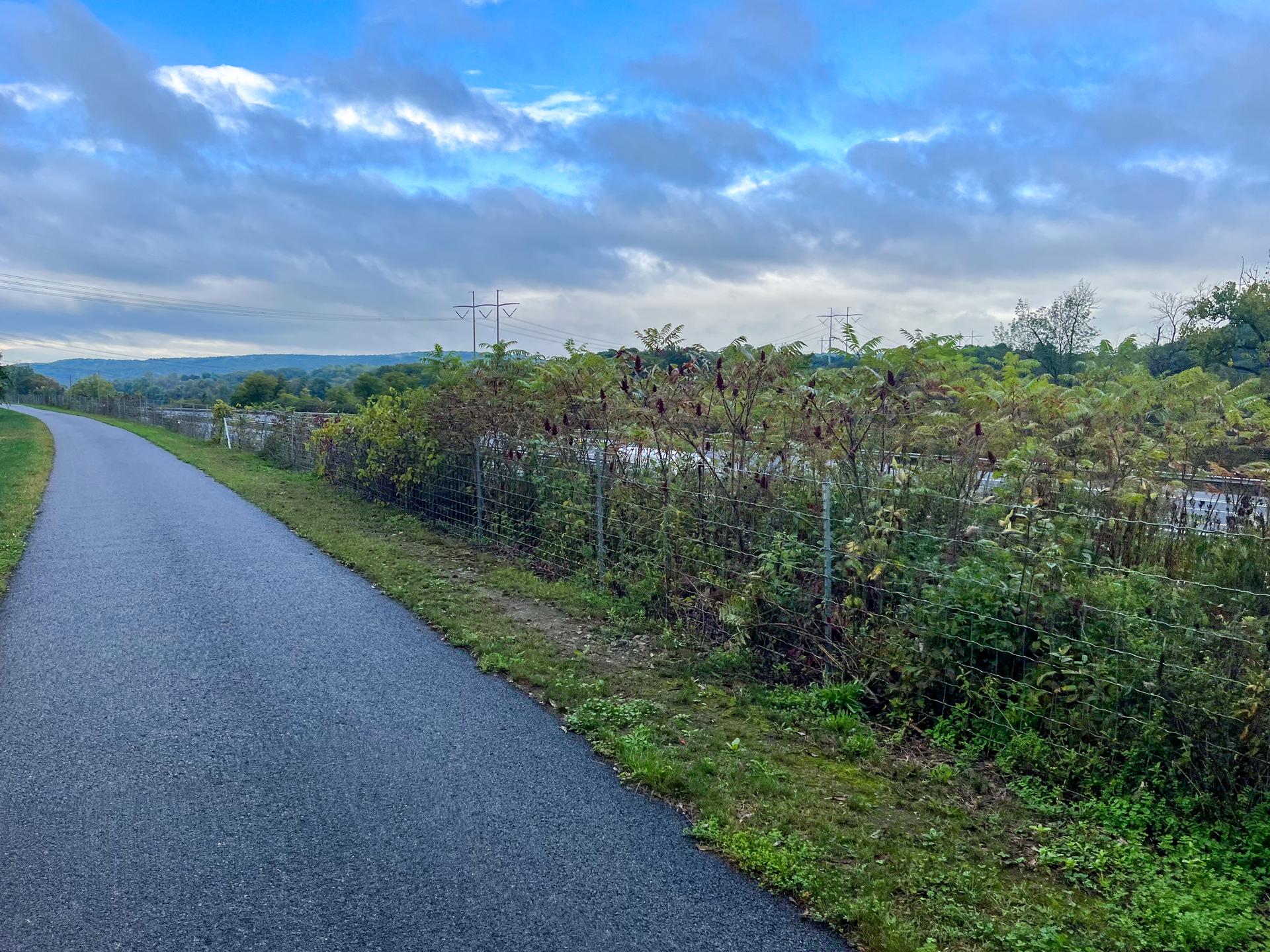 Paved path alongside a fence and dense bushes under a cloudy sky.
