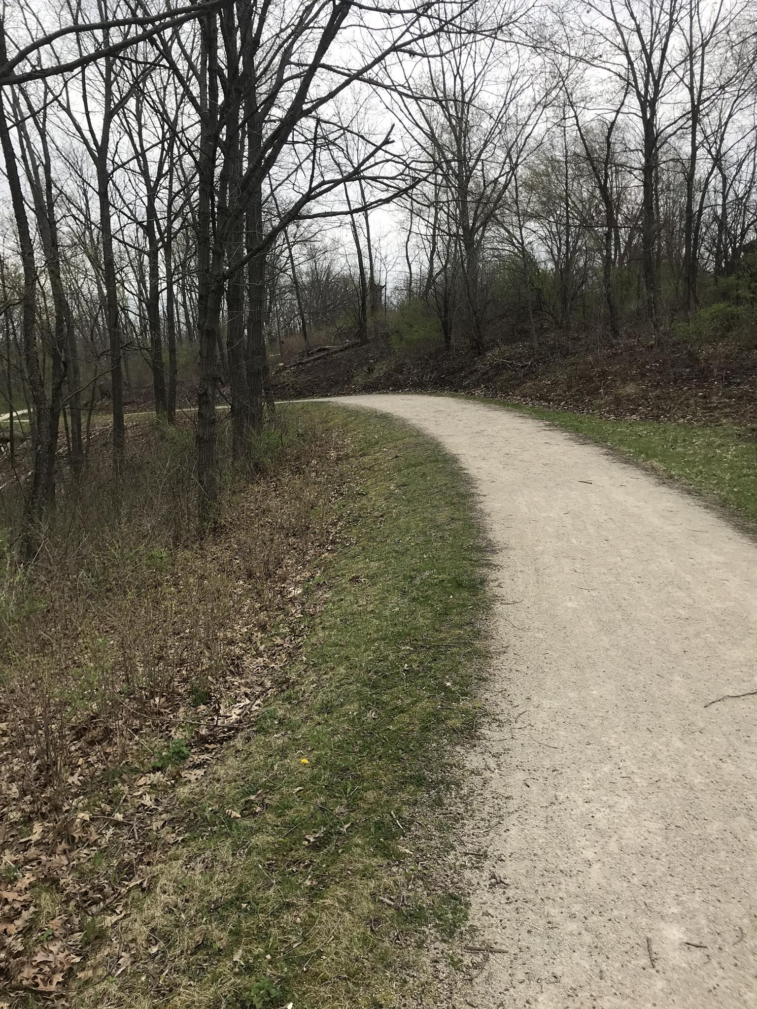A winding dirt path through a bare forest on an overcast day.