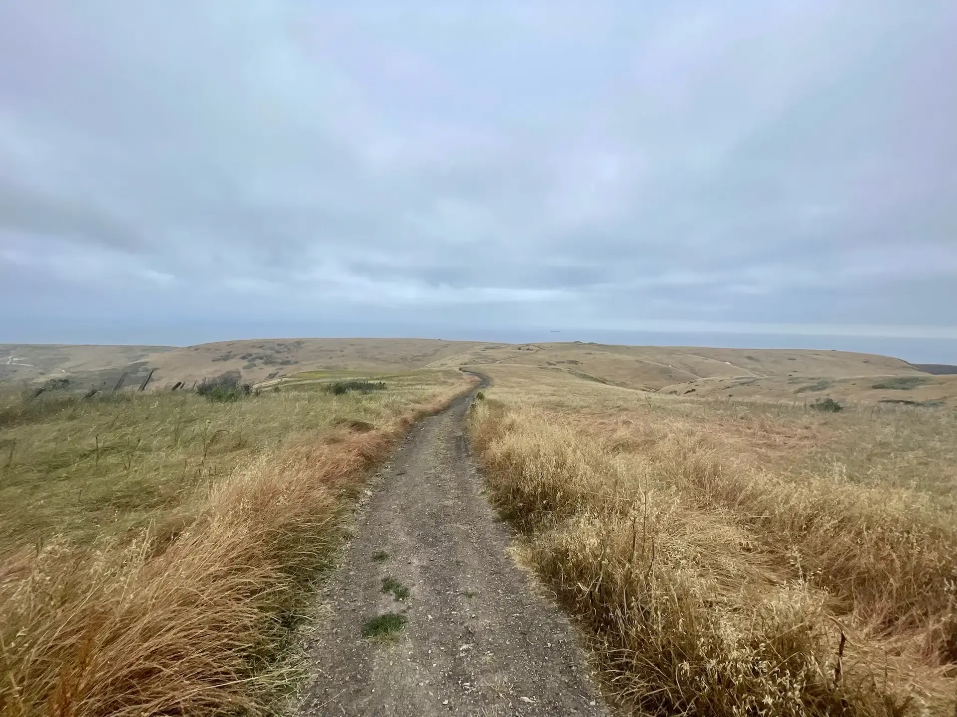 A dirt path winds through dry, golden hills under an overcast sky.