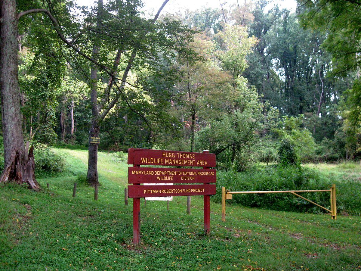 A wooden sign and yellow gate mark an entrance to a lush, green wooded area.