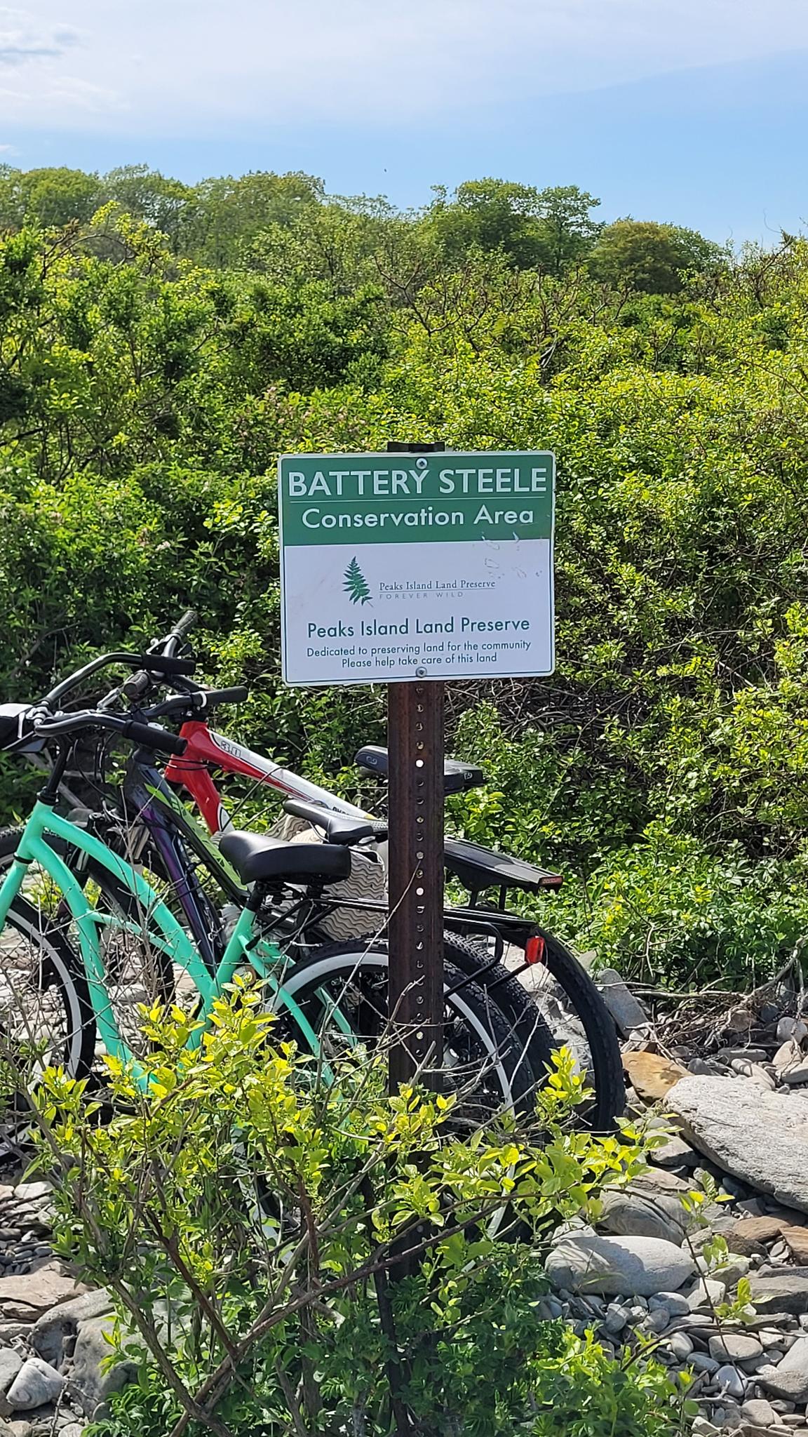A green sign stands beside several parked bicycles amidst lush green foliage on a sunny day.