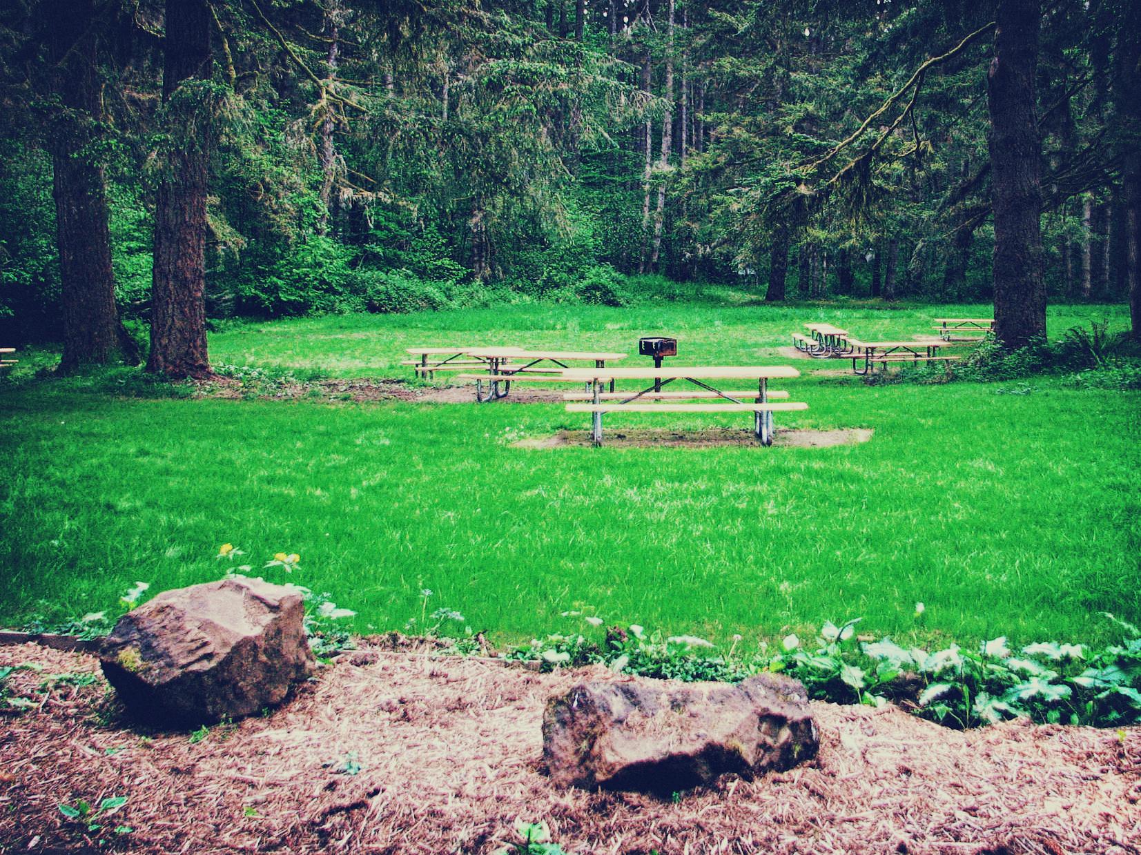 Grassy picnic area with tables and a grill surrounded by tall trees.