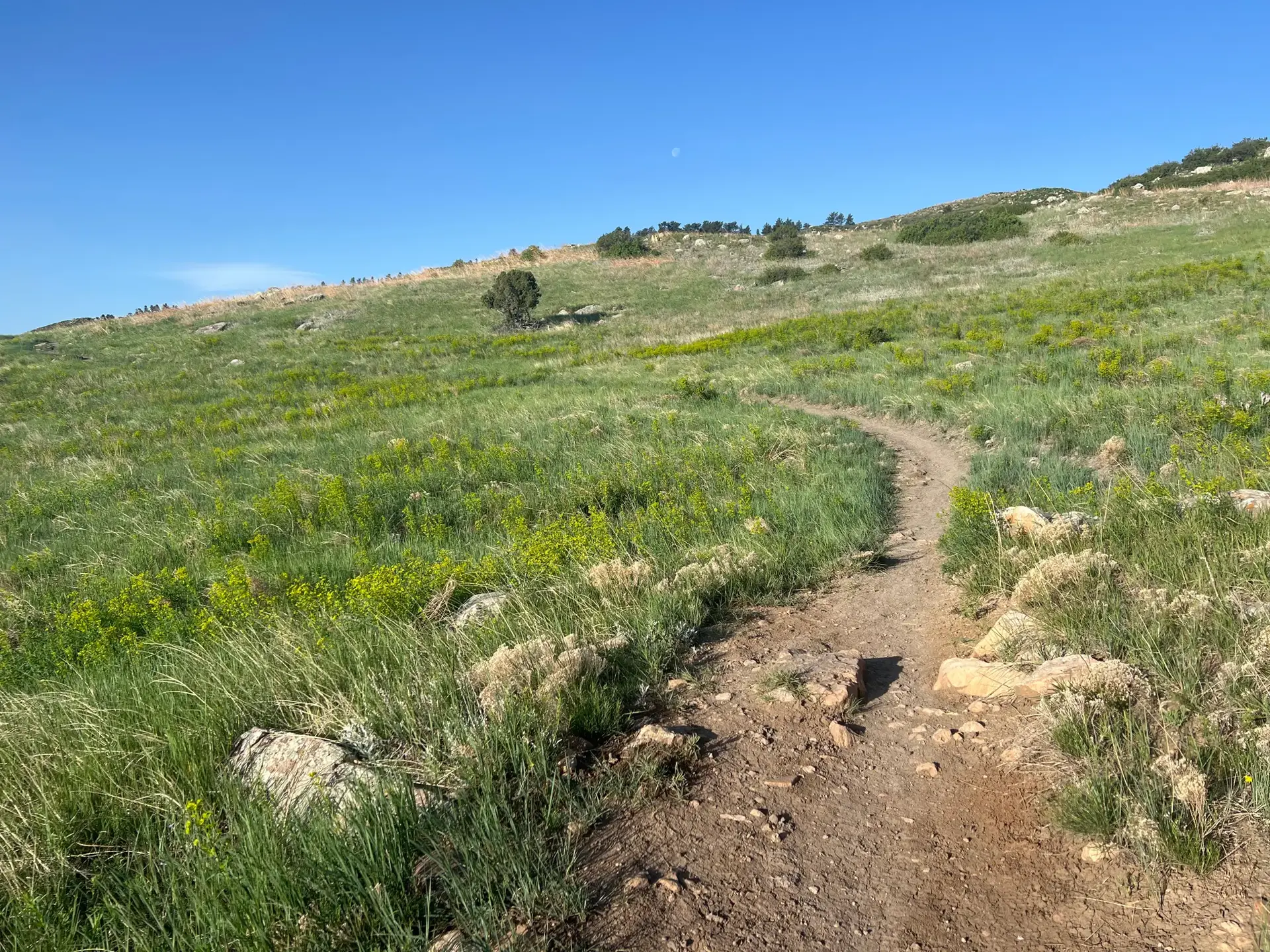 Winding dirt trail through vibrant green hills under a clear blue sky. Sunny.