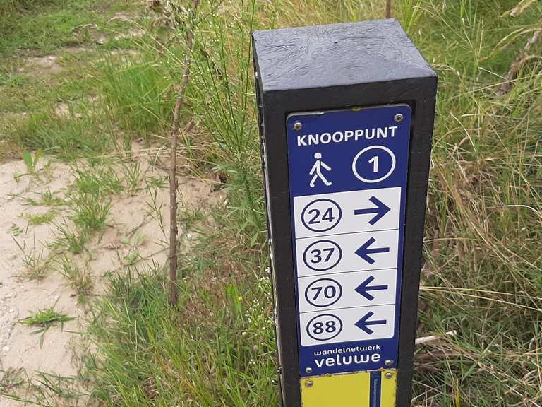 Junction Point 24 – Veluwezoom Routes for Walking and Hiking | Komoot