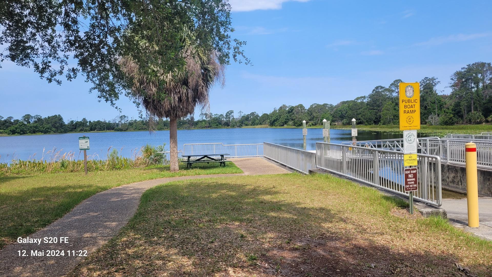 Sunny public boat ramp with a picnic table and large tree.