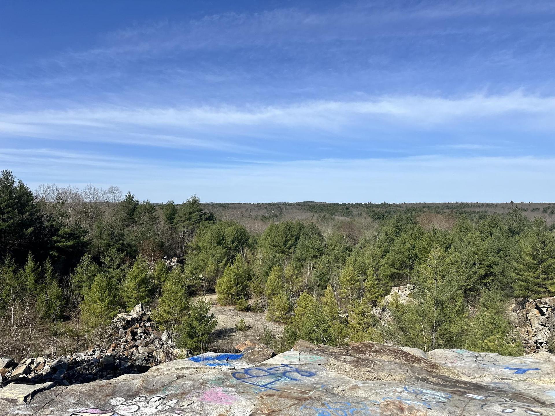 Vast forest panorama under a bright blue sky from a graffiti-covered rocky ledge.