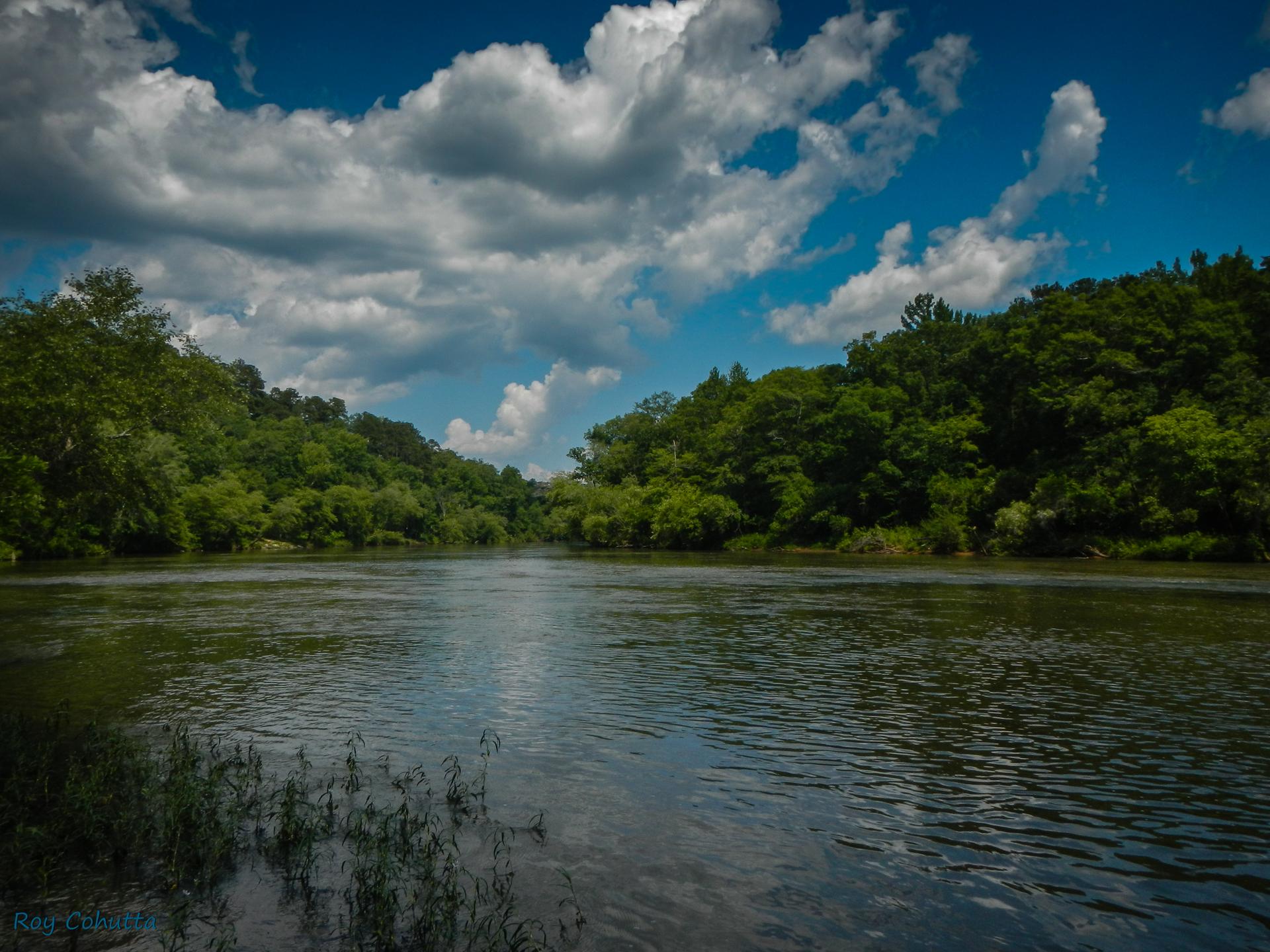 A wide river flows through a dense green forest under a partly cloudy sky.