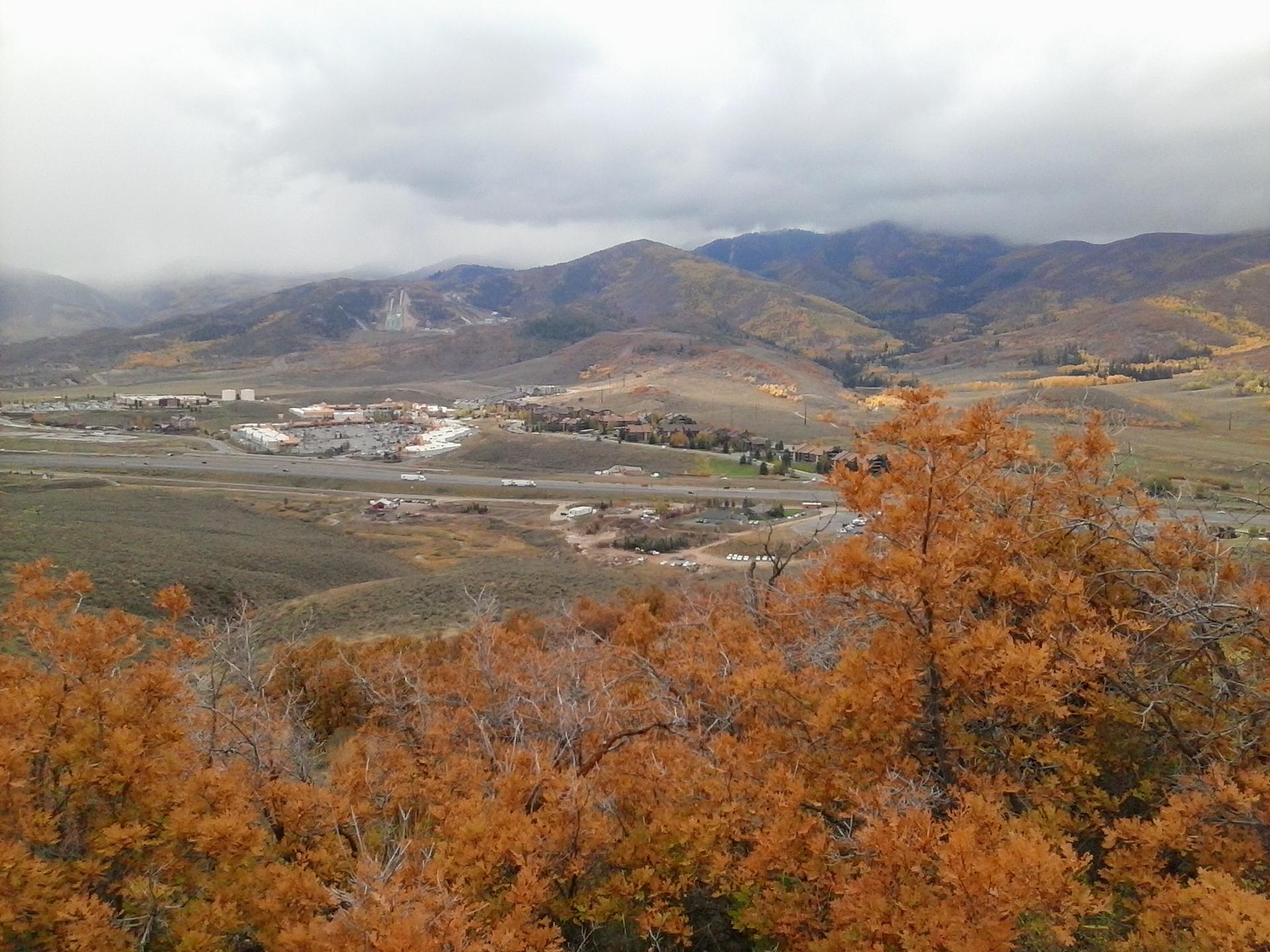 Autumn trees in the foreground overlooking a valley and cloudy mountains.