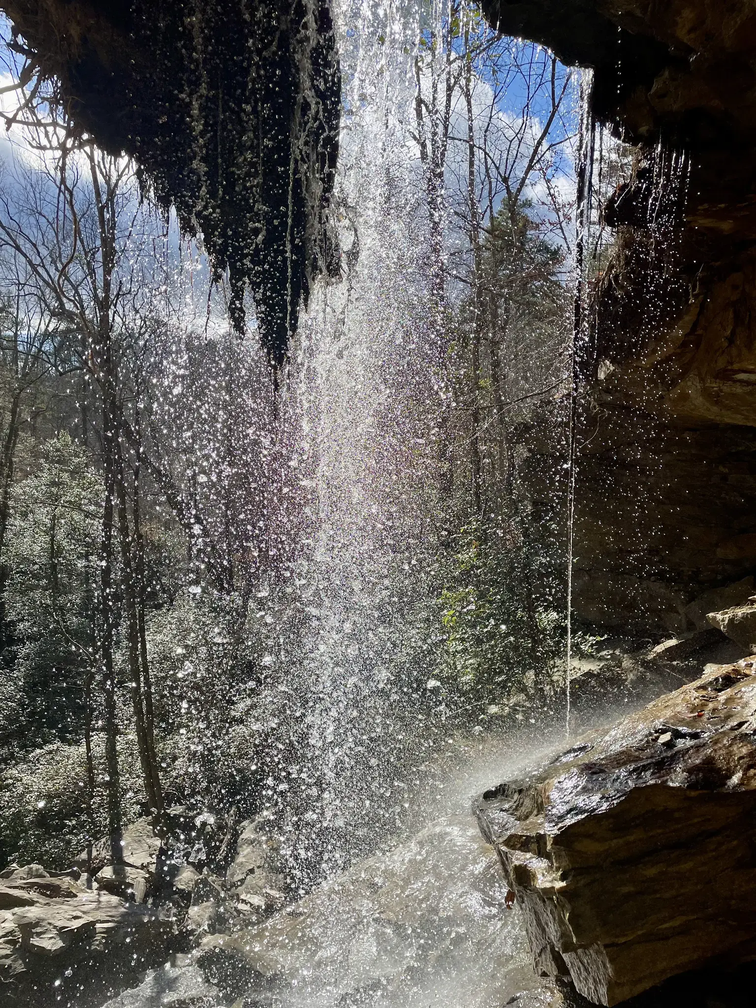 Sparkling waterfall cascading over rocks with bright sunlight and distant trees.