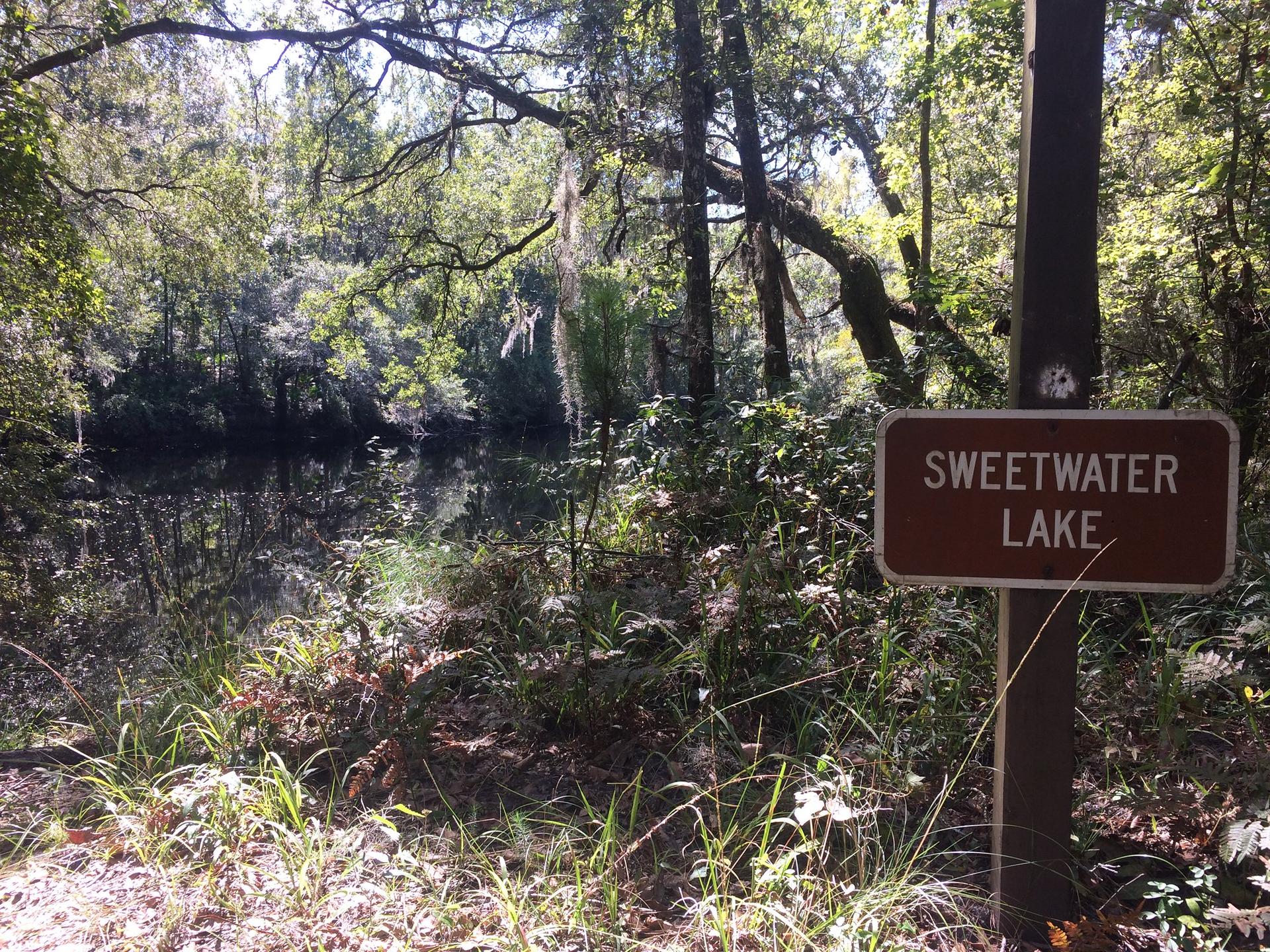 A brown sign stands beside a body of water in a sunny, green forest.