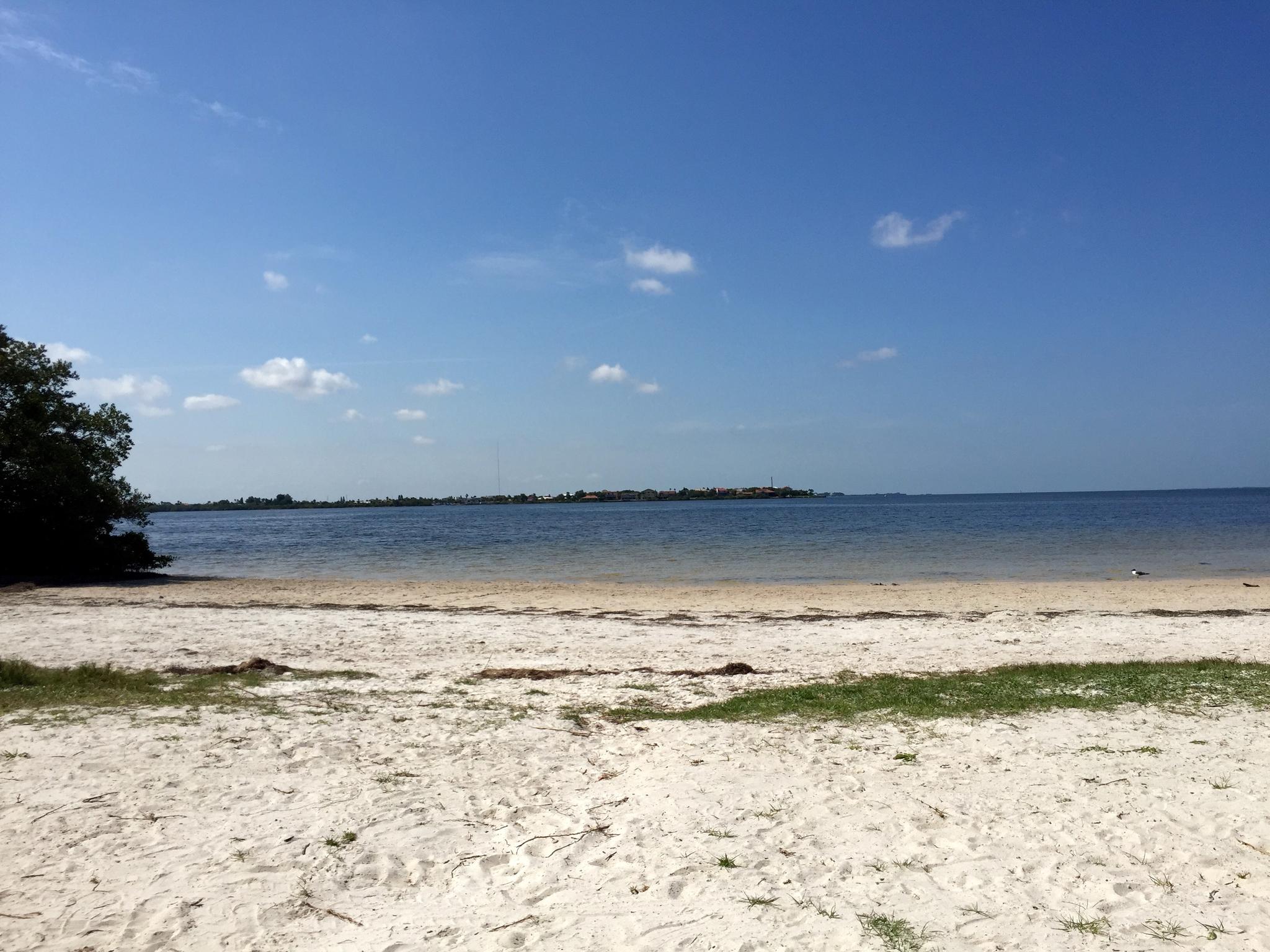 Wide sandy beach with calm blue water under a clear sunny sky.