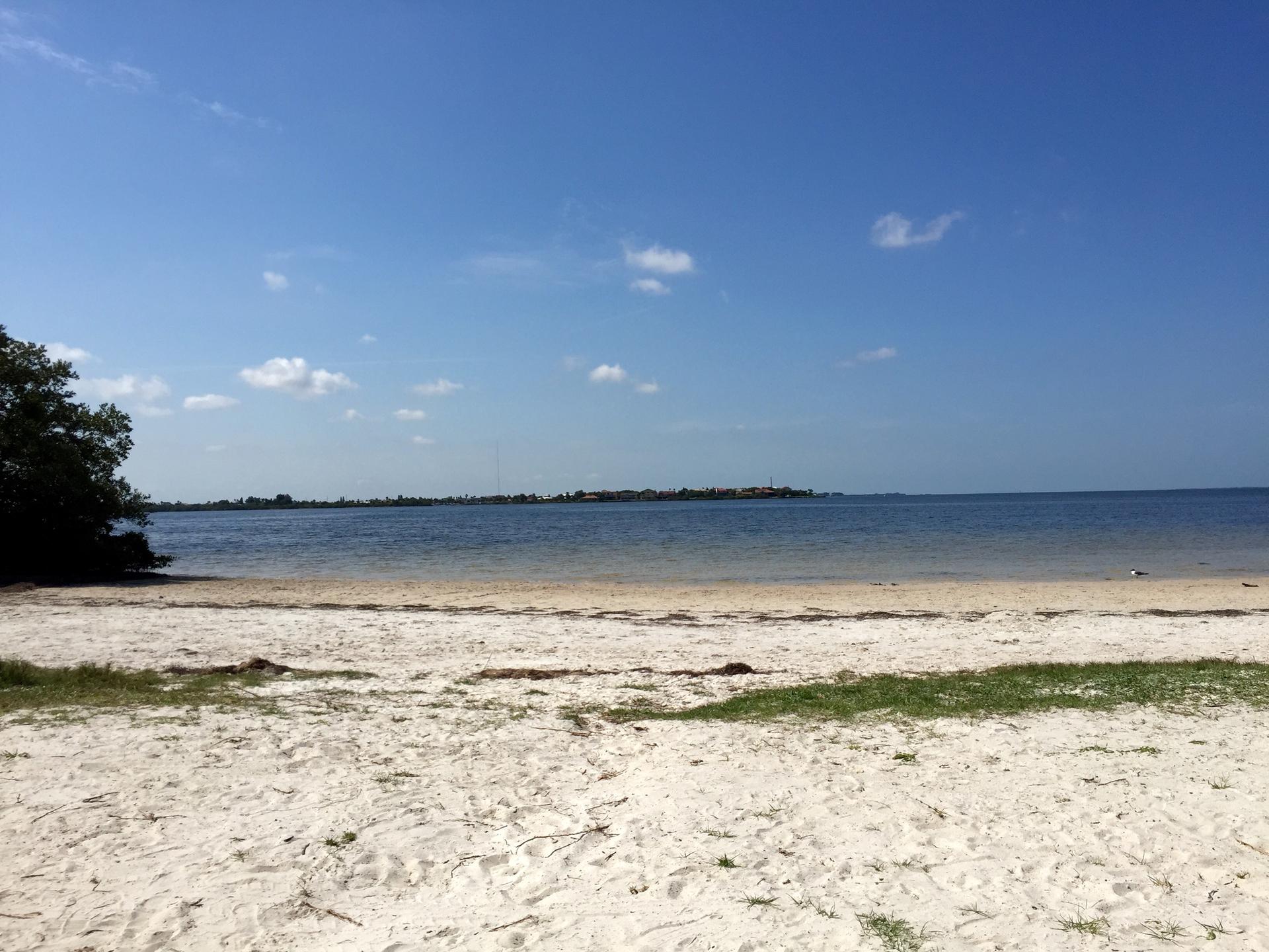 Wide sandy beach with calm blue water under a clear sunny sky.