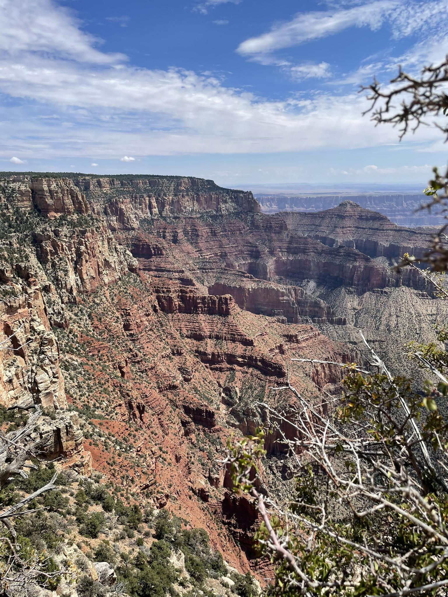 Vast, layered canyon under a bright, cloudy sky with sparse vegetation.