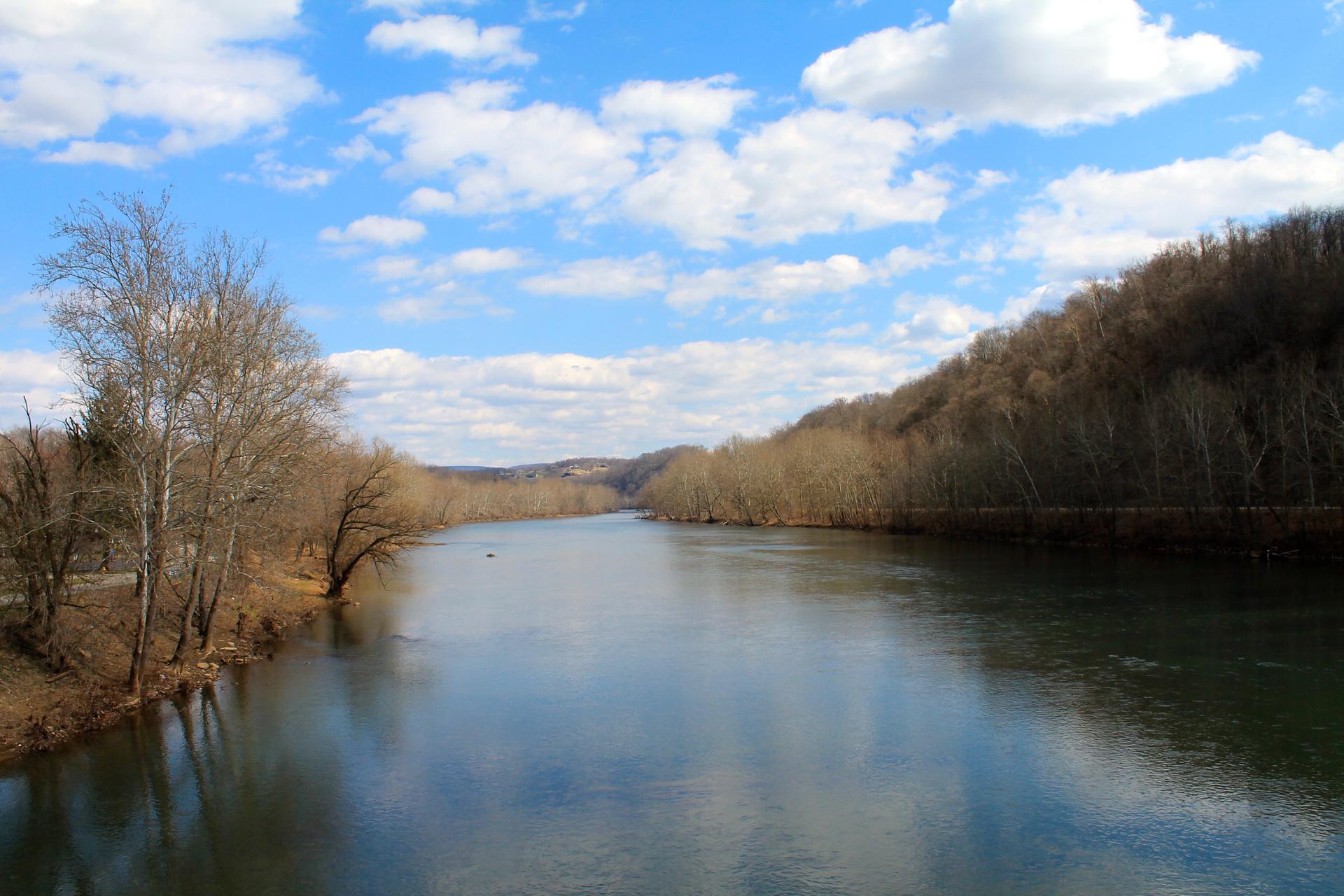 Wide river flowing between bare tree-lined banks under a bright, cloudy sky.