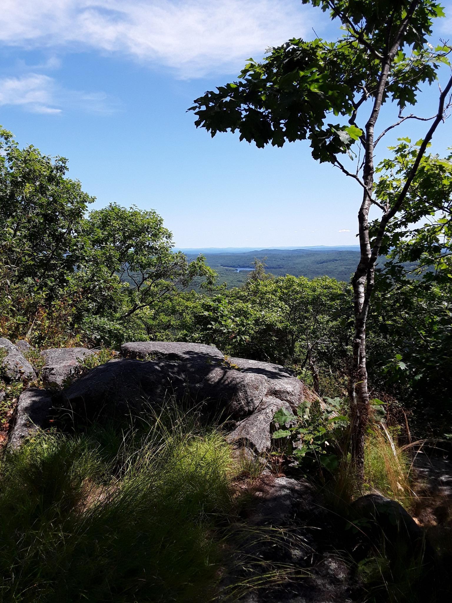 Rocky outcrop with sparse trees overlooking a distant forested landscape on a sunny day.