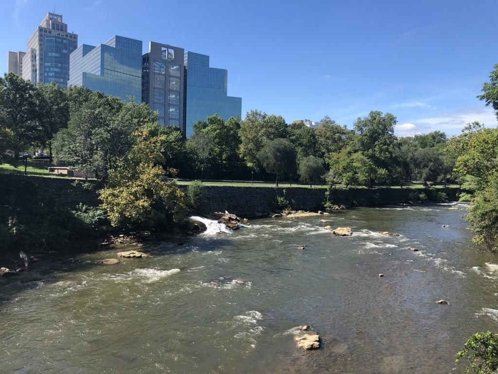 A wide river flows past modern city buildings and green trees under a clear sky. - Brandywine Park Loop