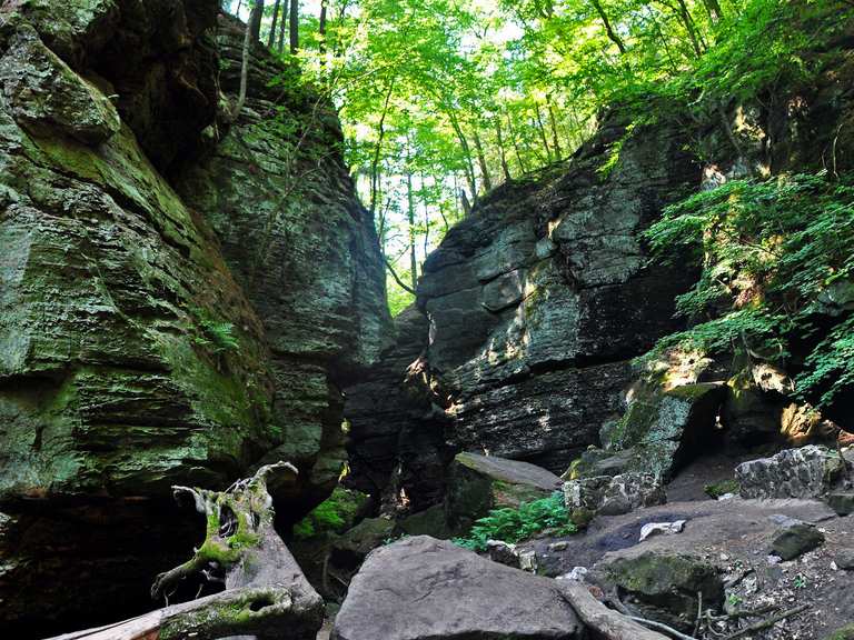 Parfreys Glen Trail — Parfreys Glen State Natural Area | Laufrunde | Komoot