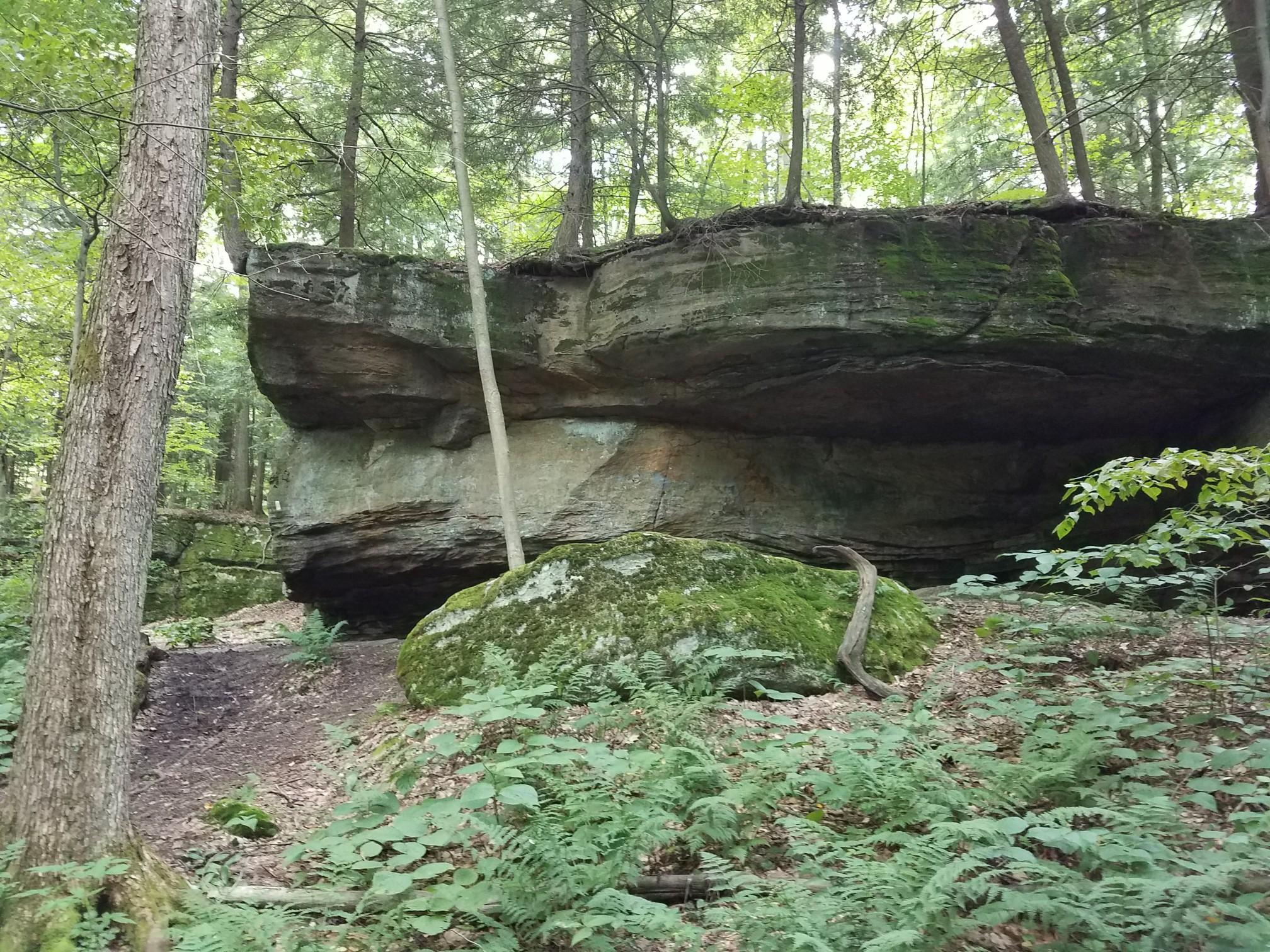 A large mossy rock formation sits in a dense, shaded forest.