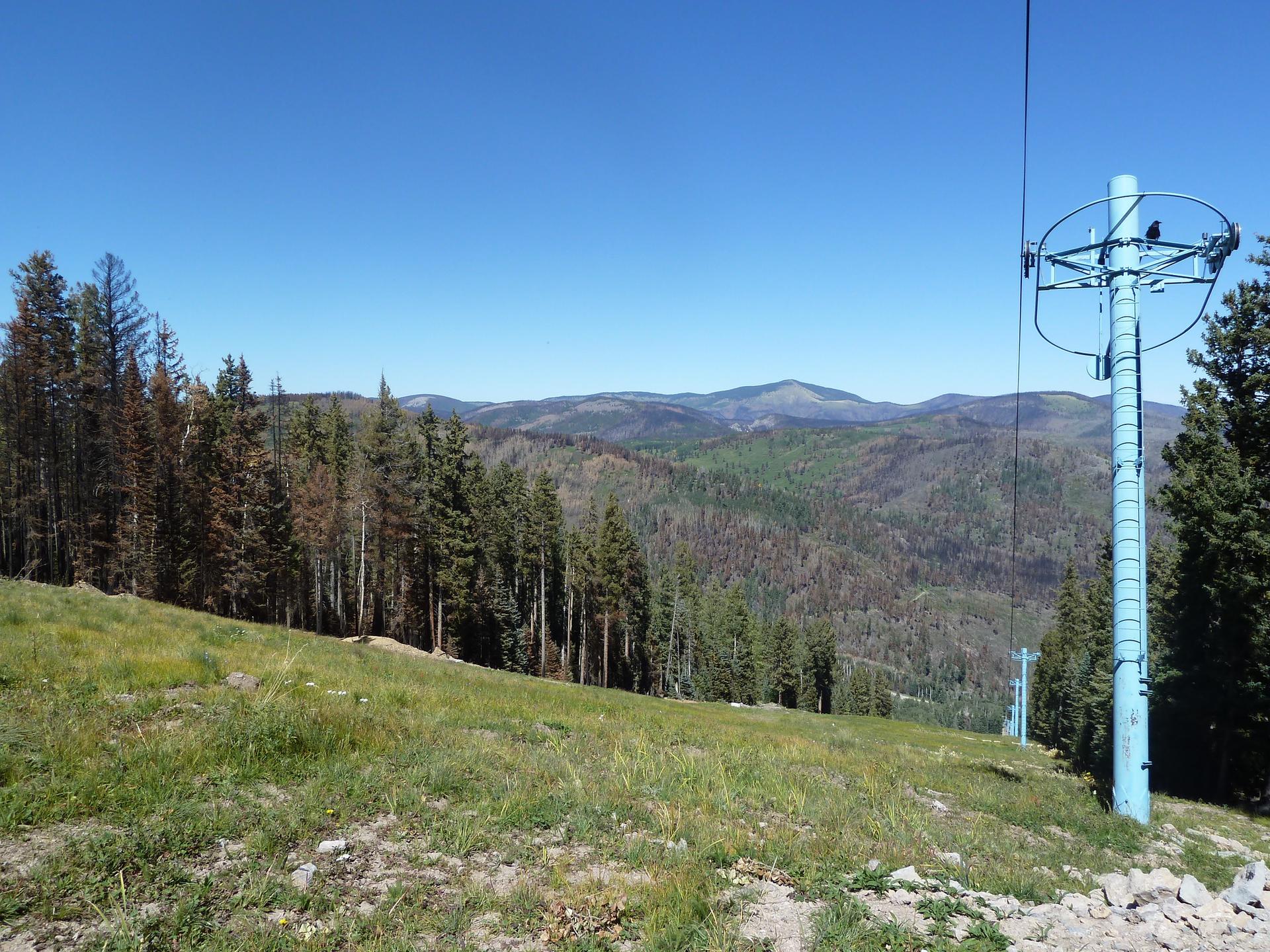 A blue ski lift tower on a grassy slope with distant mountains and trees.