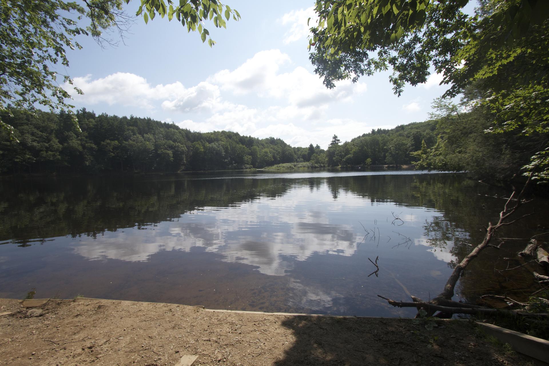A serene lake reflecting clouds, surrounded by lush green forest under bright sky.