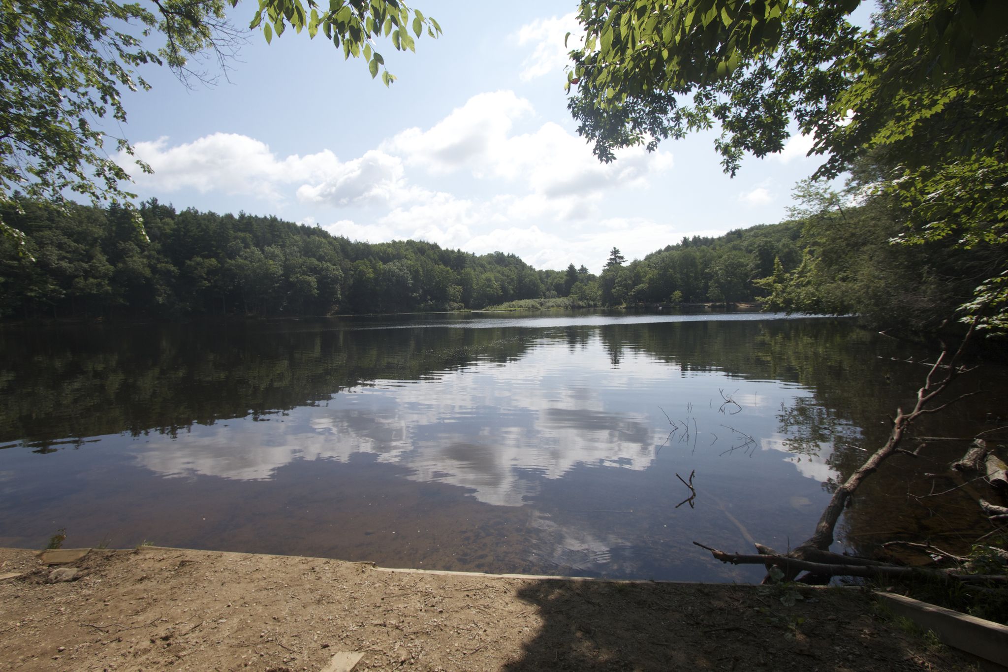 A serene lake reflecting clouds, surrounded by lush green forest under bright sky. - Puffers Pond – Atkins Reservoir loop from North Amherst