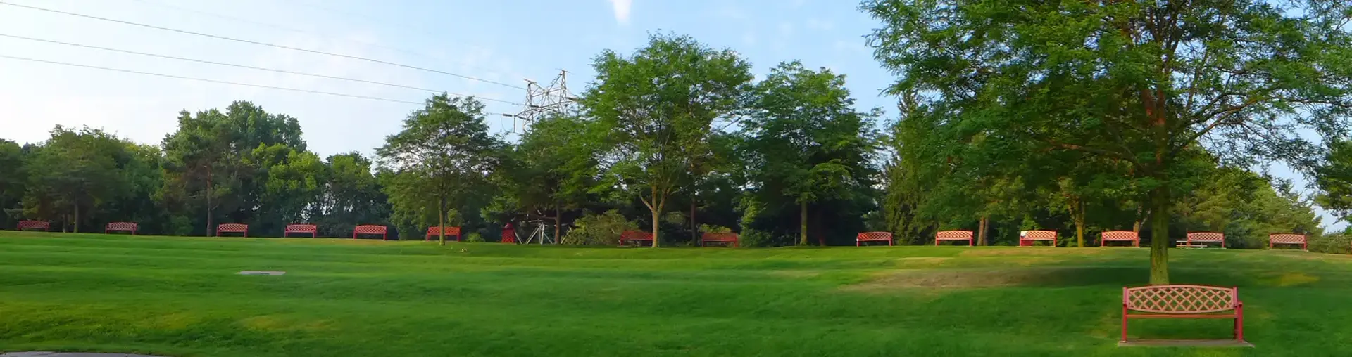 Expansive green park with numerous empty benches and trees on a bright day.