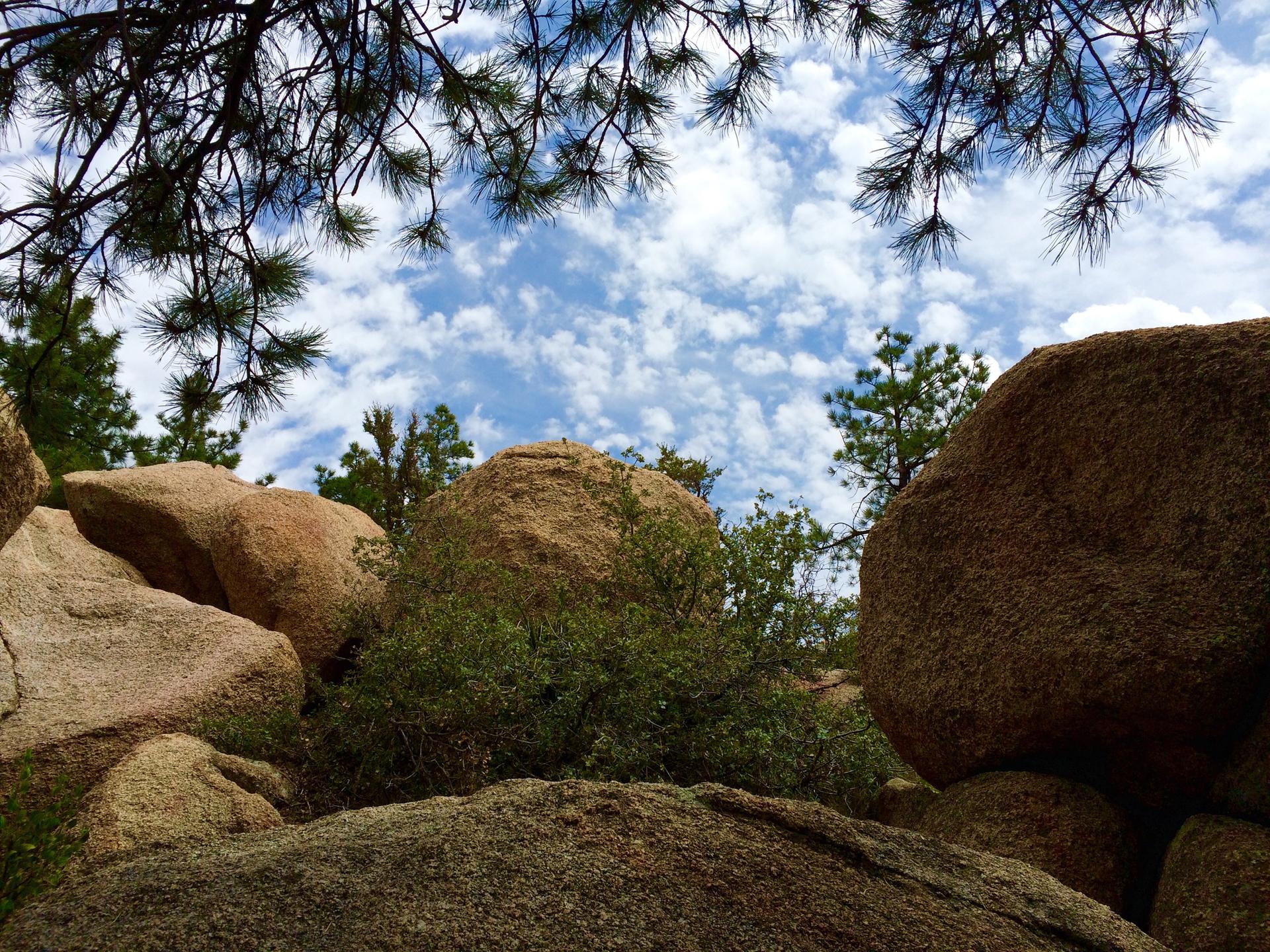 Large boulders and green bushes under a partly cloudy sky, framed by pine.