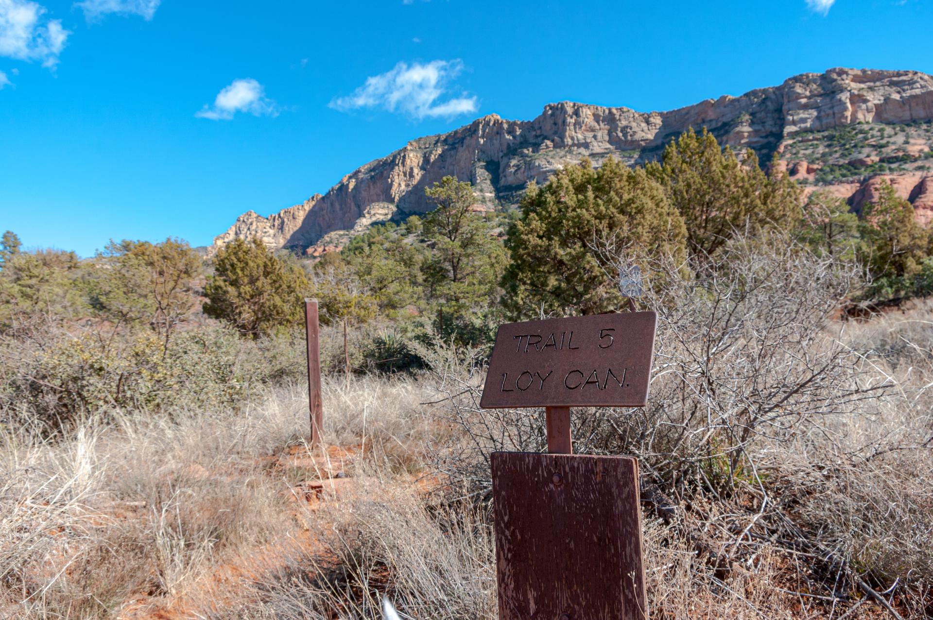 A weathered trail sign in a dry, brushy landscape with distant mountains.
