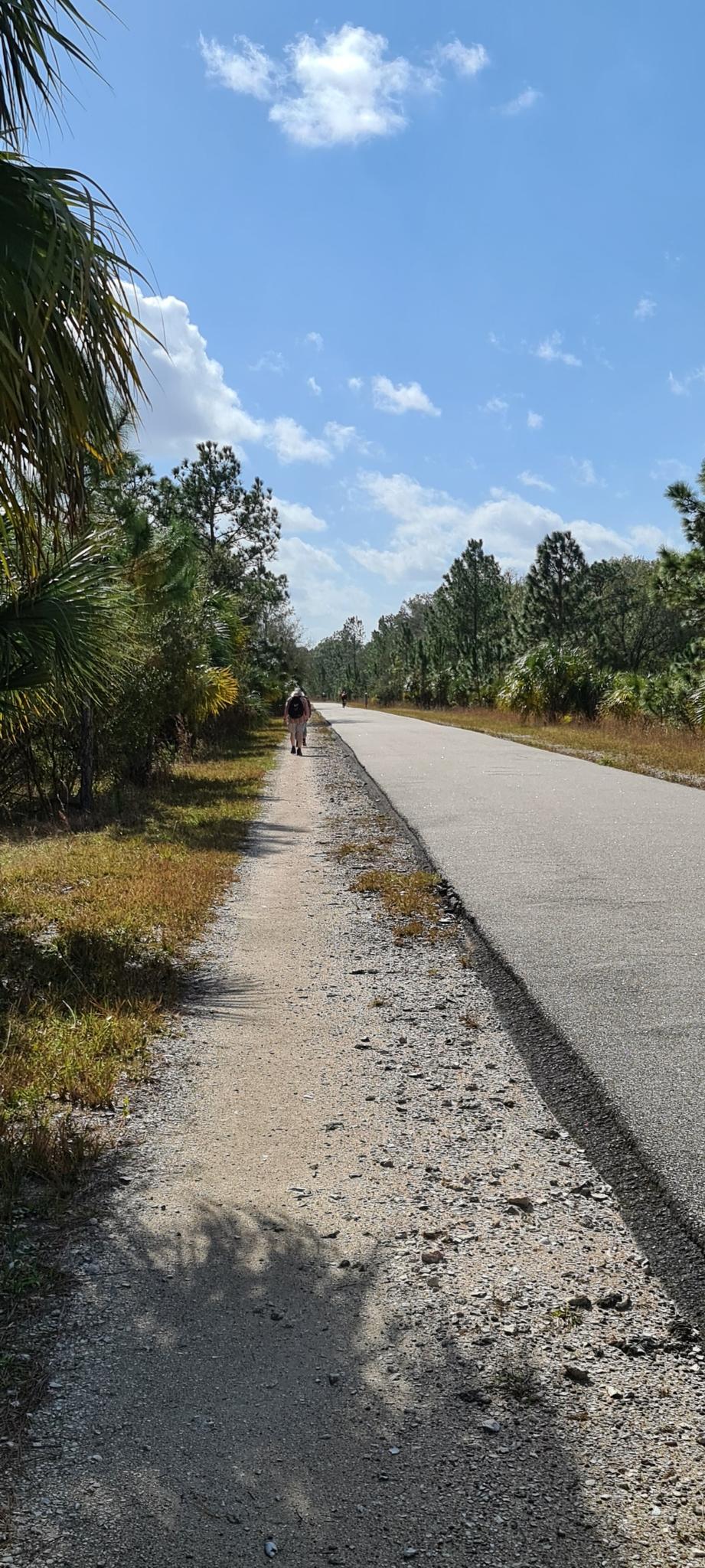 A person walks on a sunny dirt path beside a paved road.
