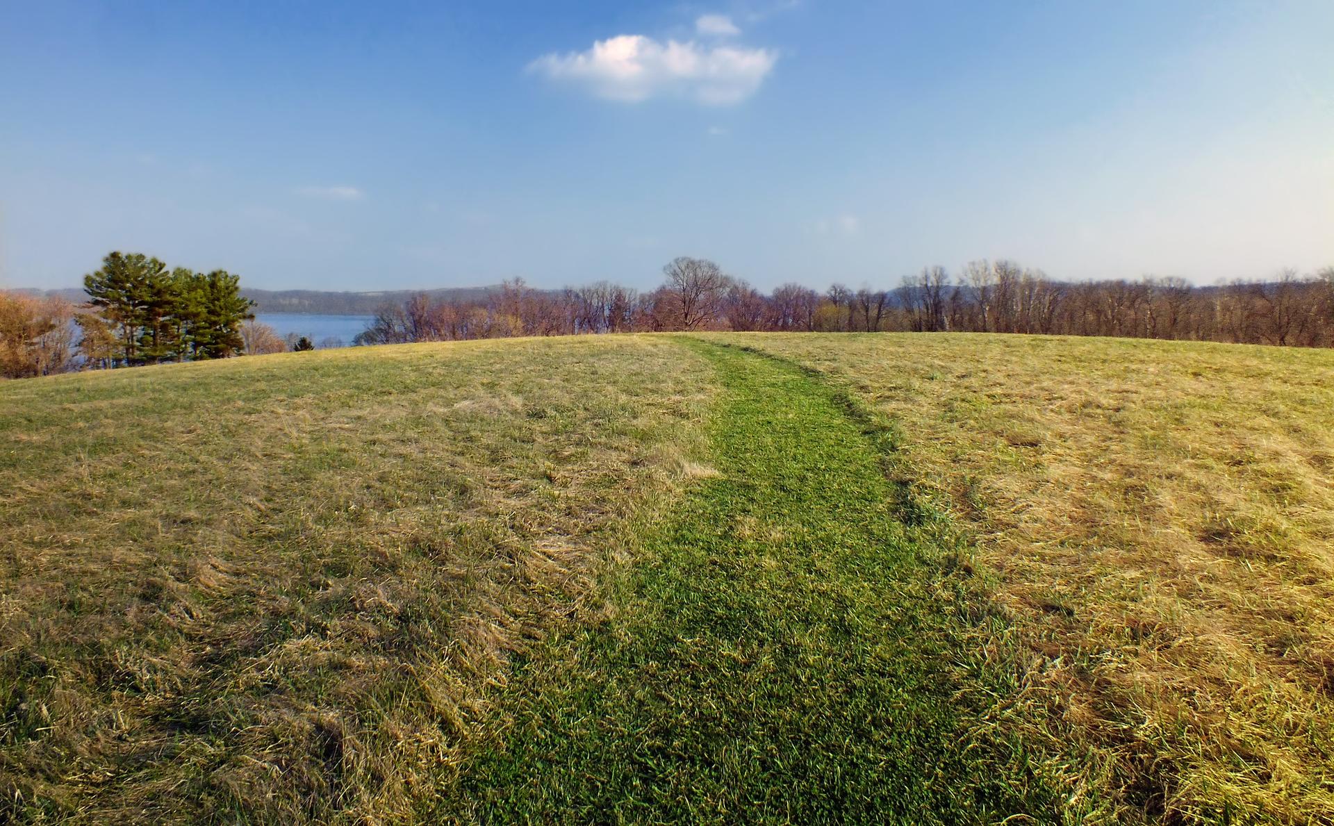 A mown path winds up a sunny grassy hill towards distant water.