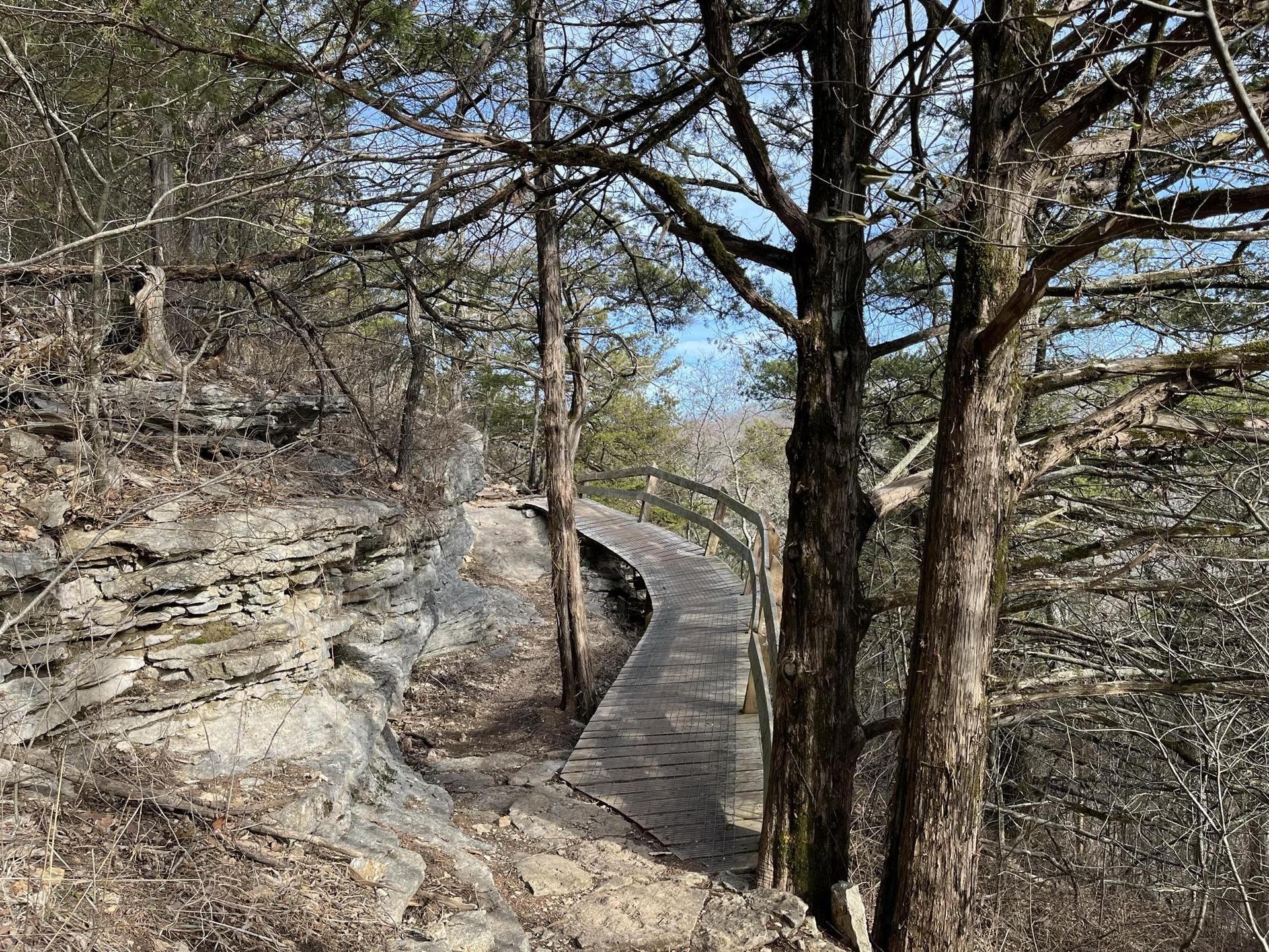 A wooden boardwalk trail curves alongside a rocky cliff in a sunny forest.