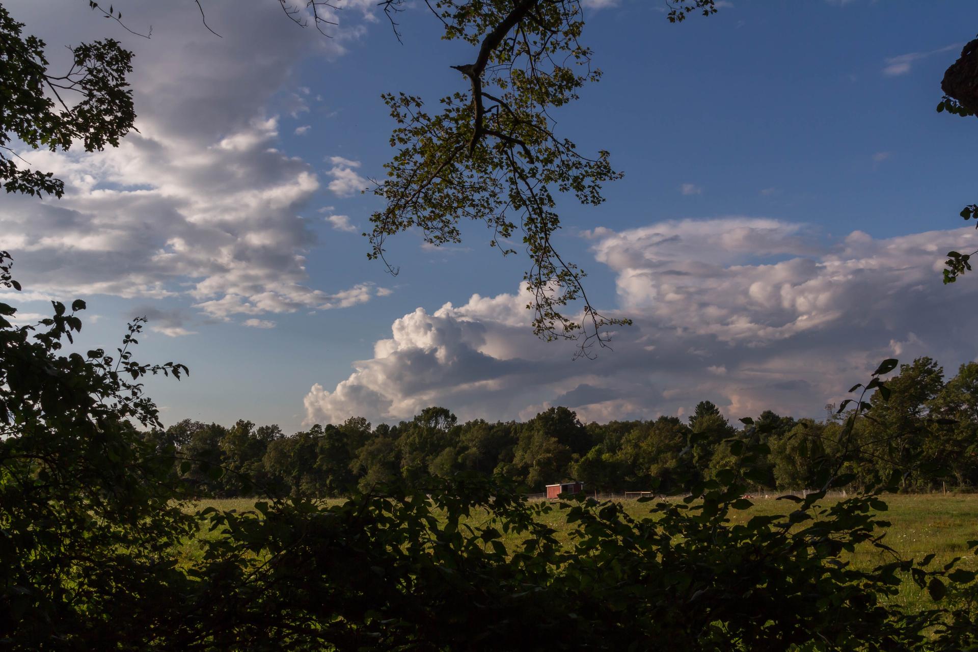 A green field bordered by trees under a dramatic cloudy sky.